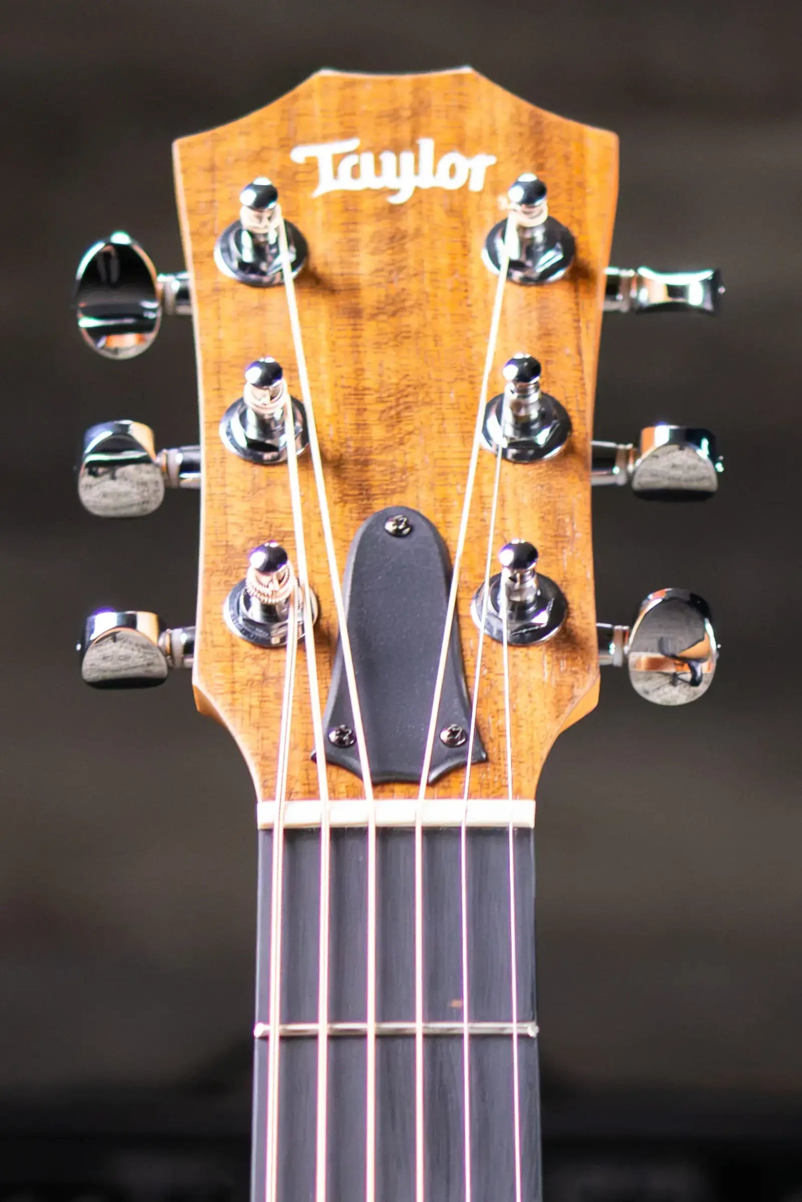 Taylor GS Mini Sapele Acoustic Guitar with GS Mini Hard Bag