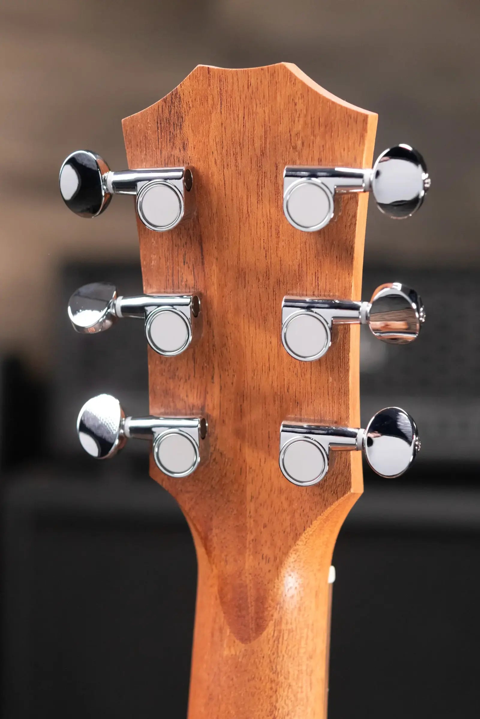 Taylor GS Mini Sapele Acoustic Guitar with Gig Bag