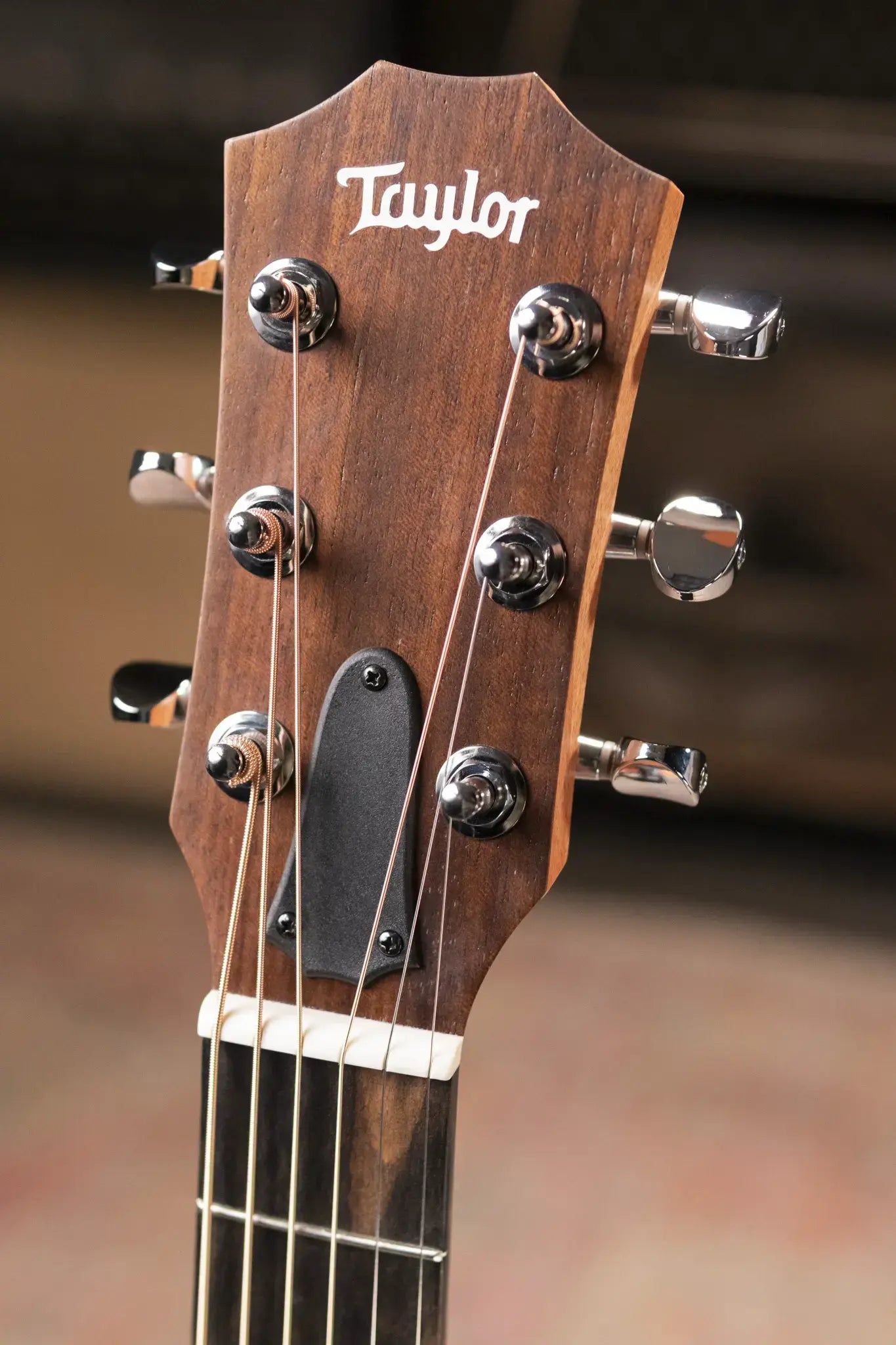 Taylor GS Mini Sapele Acoustic Guitar with Gig Bag