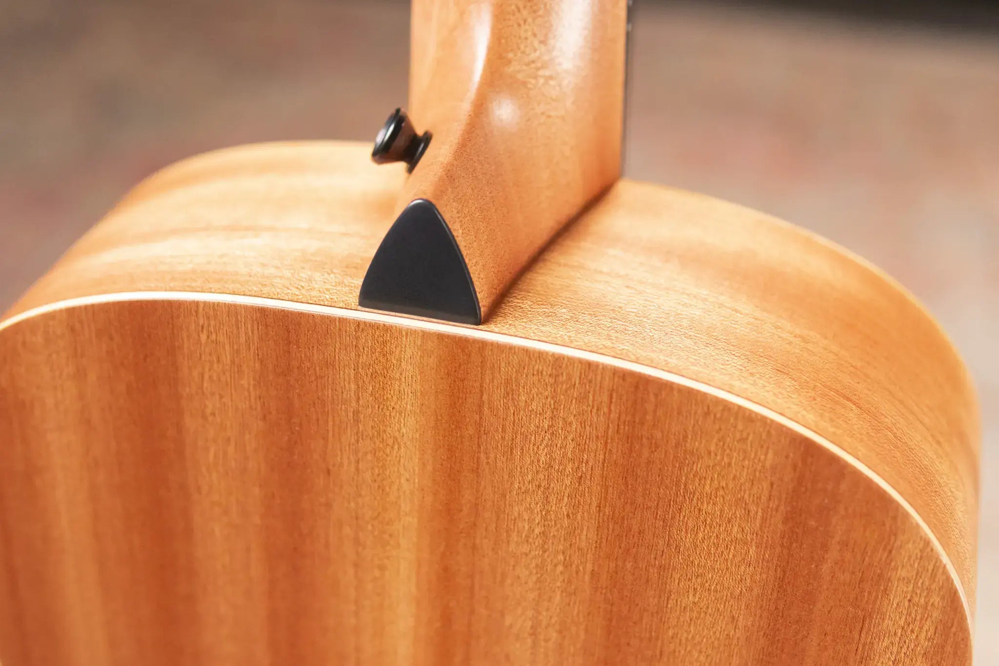 Taylor GS Mini Sapele Acoustic Guitar with Gig Bag