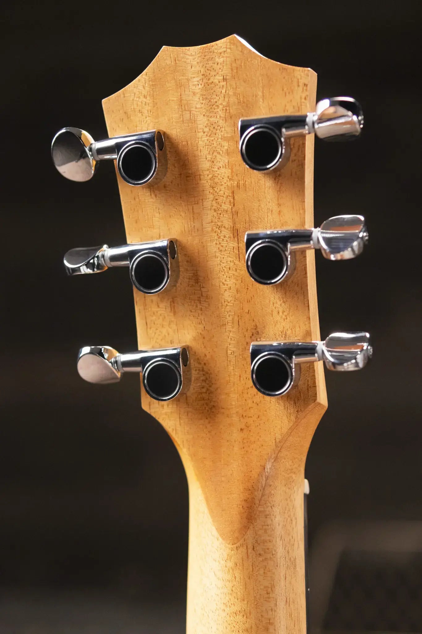 Taylor GS Mini Sapele Acoustic Guitar with Gig Bag