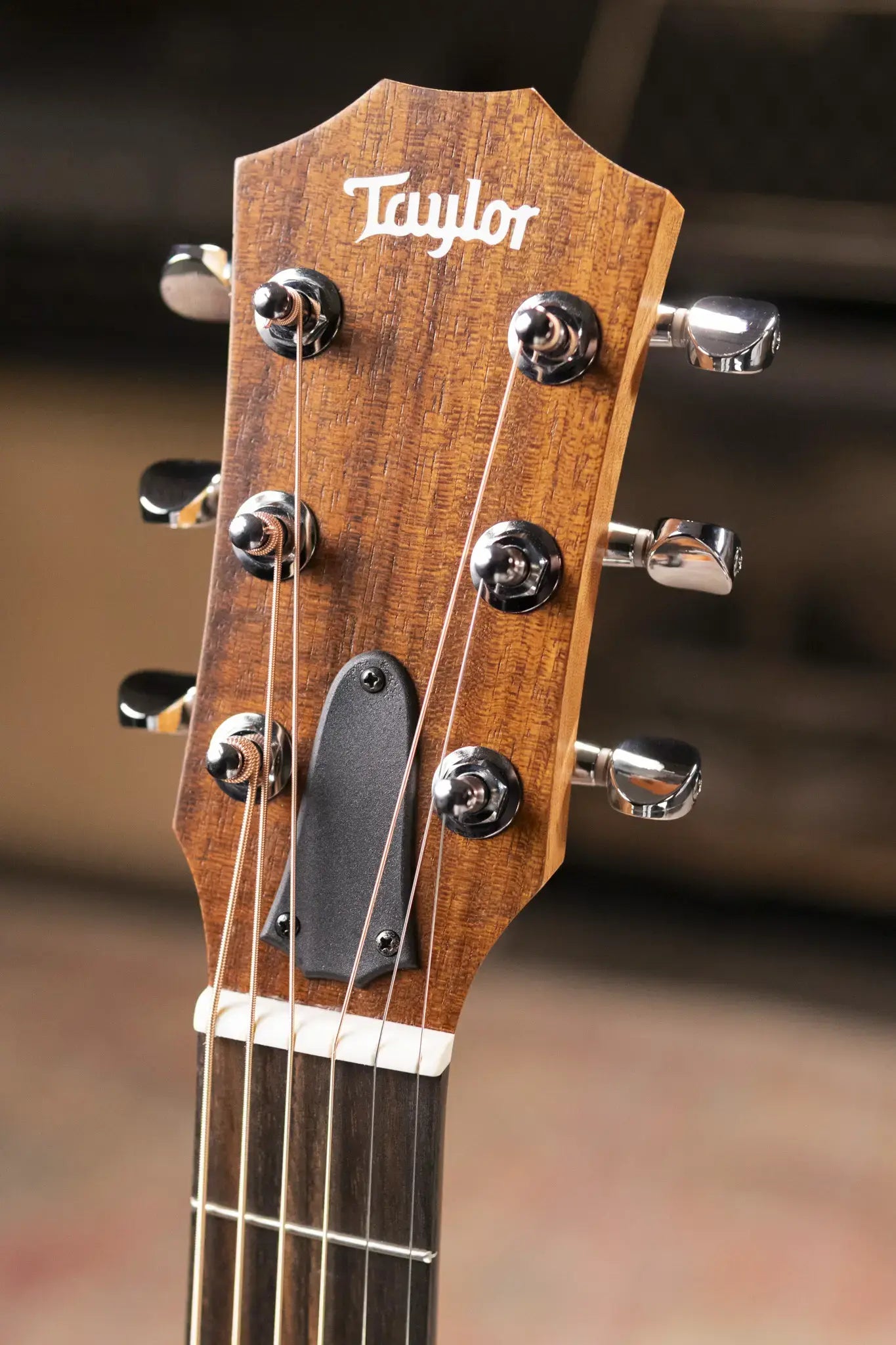 Taylor GS Mini Sapele Acoustic Guitar with Gig Bag