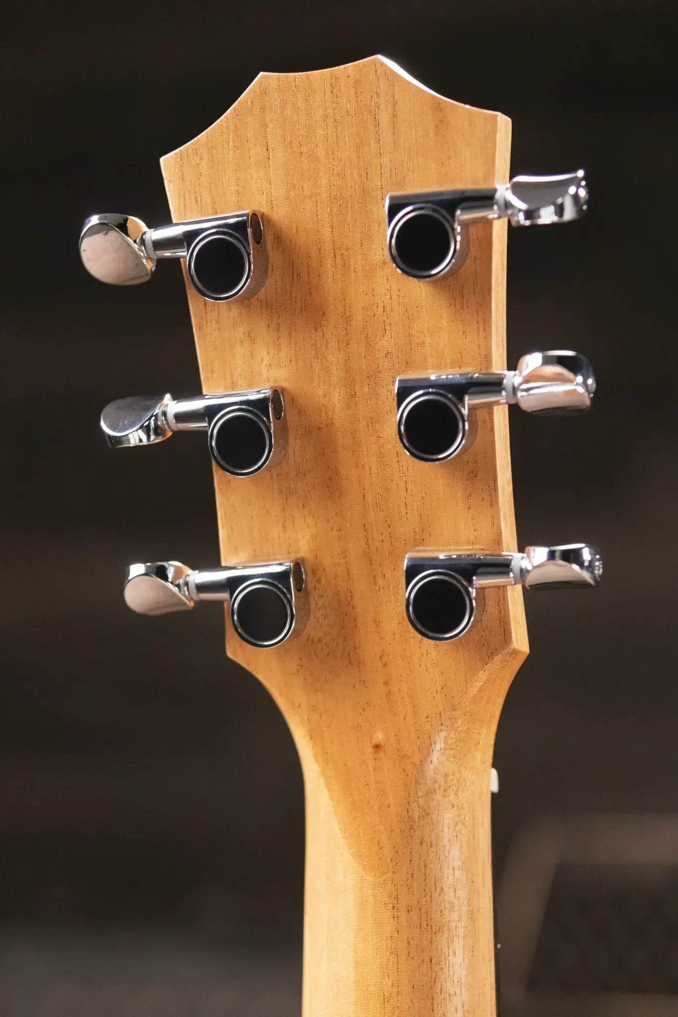 Taylor GS Mini Sapele Acoustic Guitar with Gig Bag