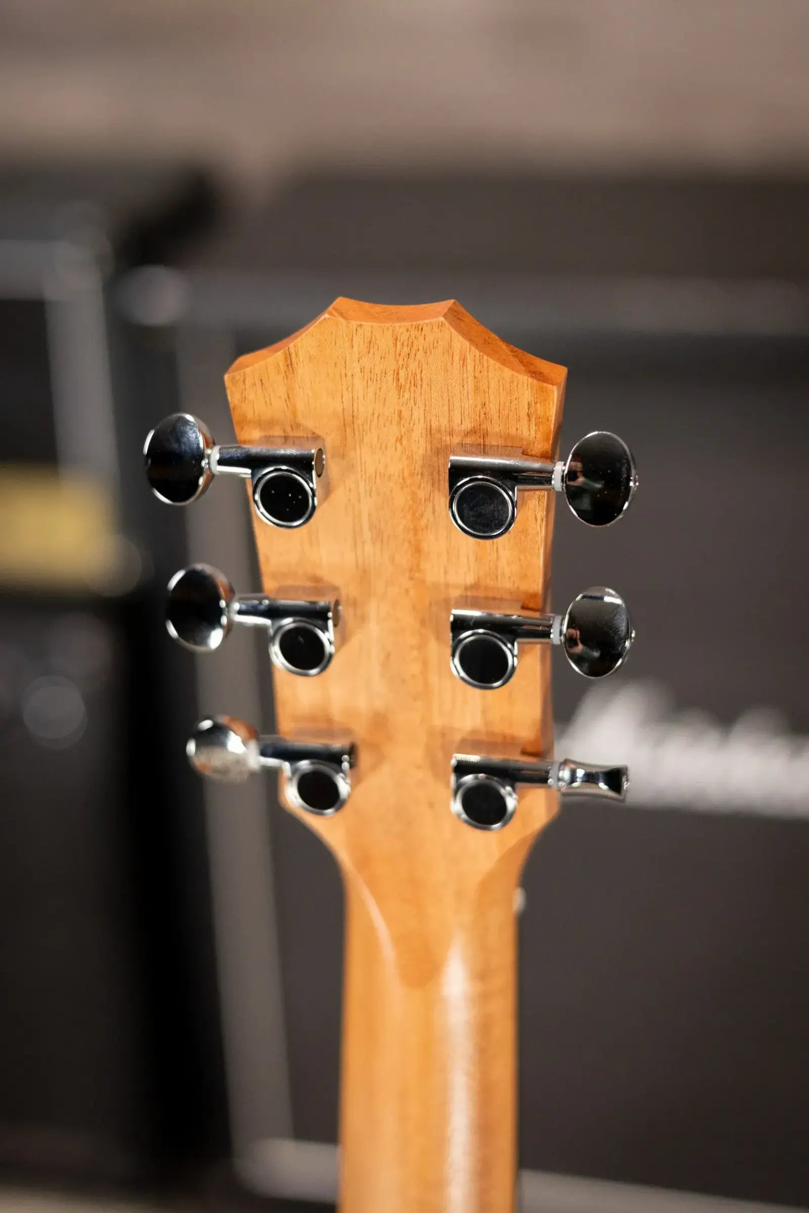Taylor GS Mini Sapele Acoustic Guitar with Gig Bag