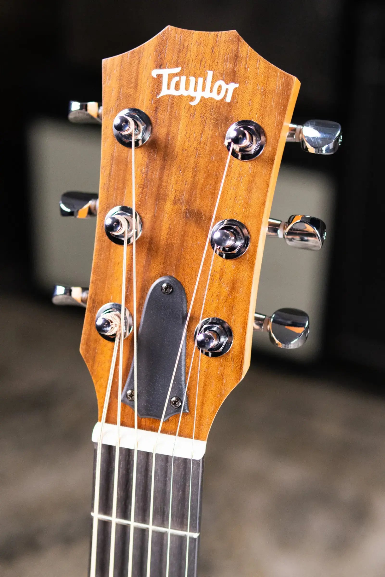 Taylor GS Mini Sapele Acoustic Guitar with Tan Structured Gig Bag