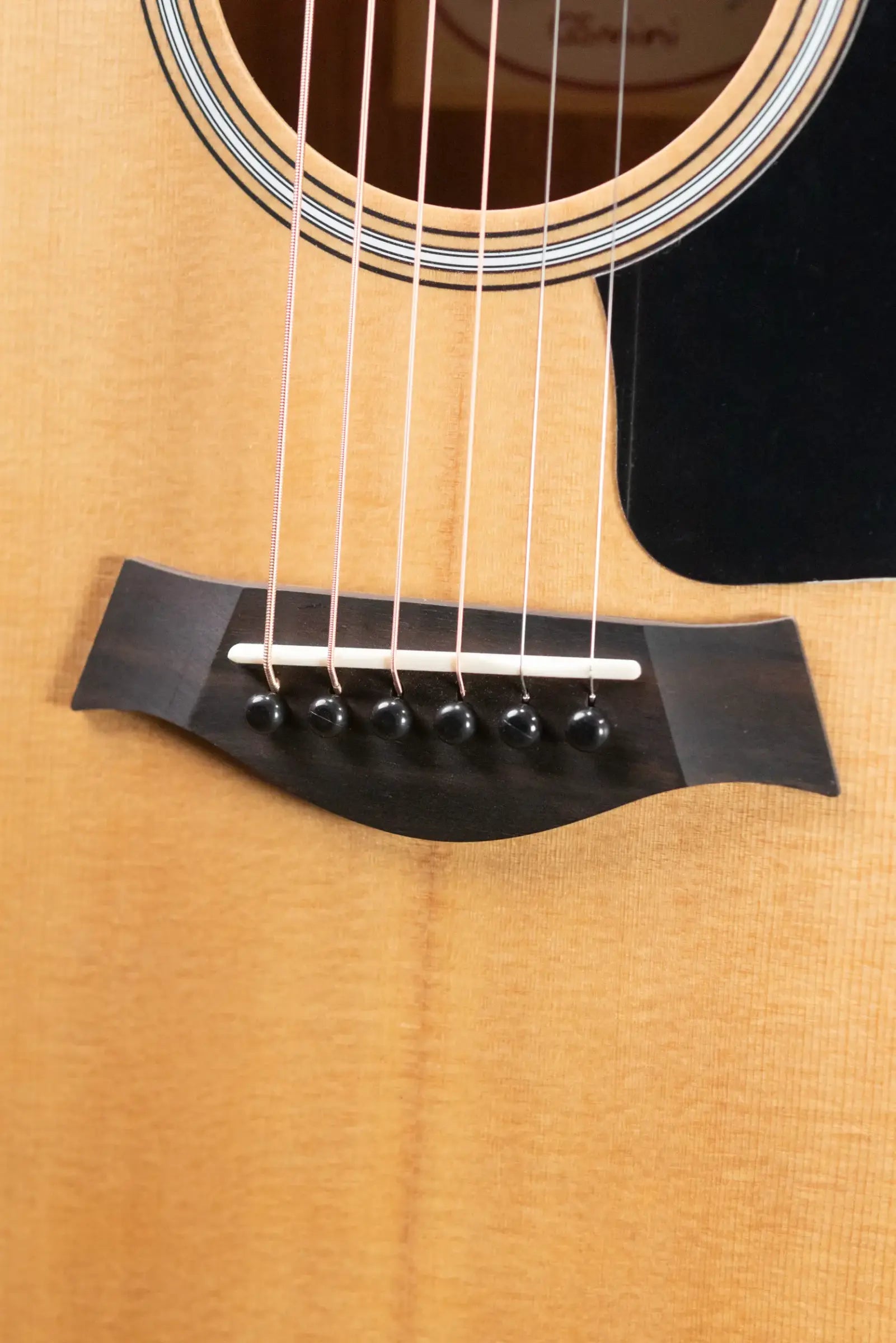 Taylor GS Mini Sapele Acoustic Guitar with Tan Structured Gig Bag - Floor Model Demo