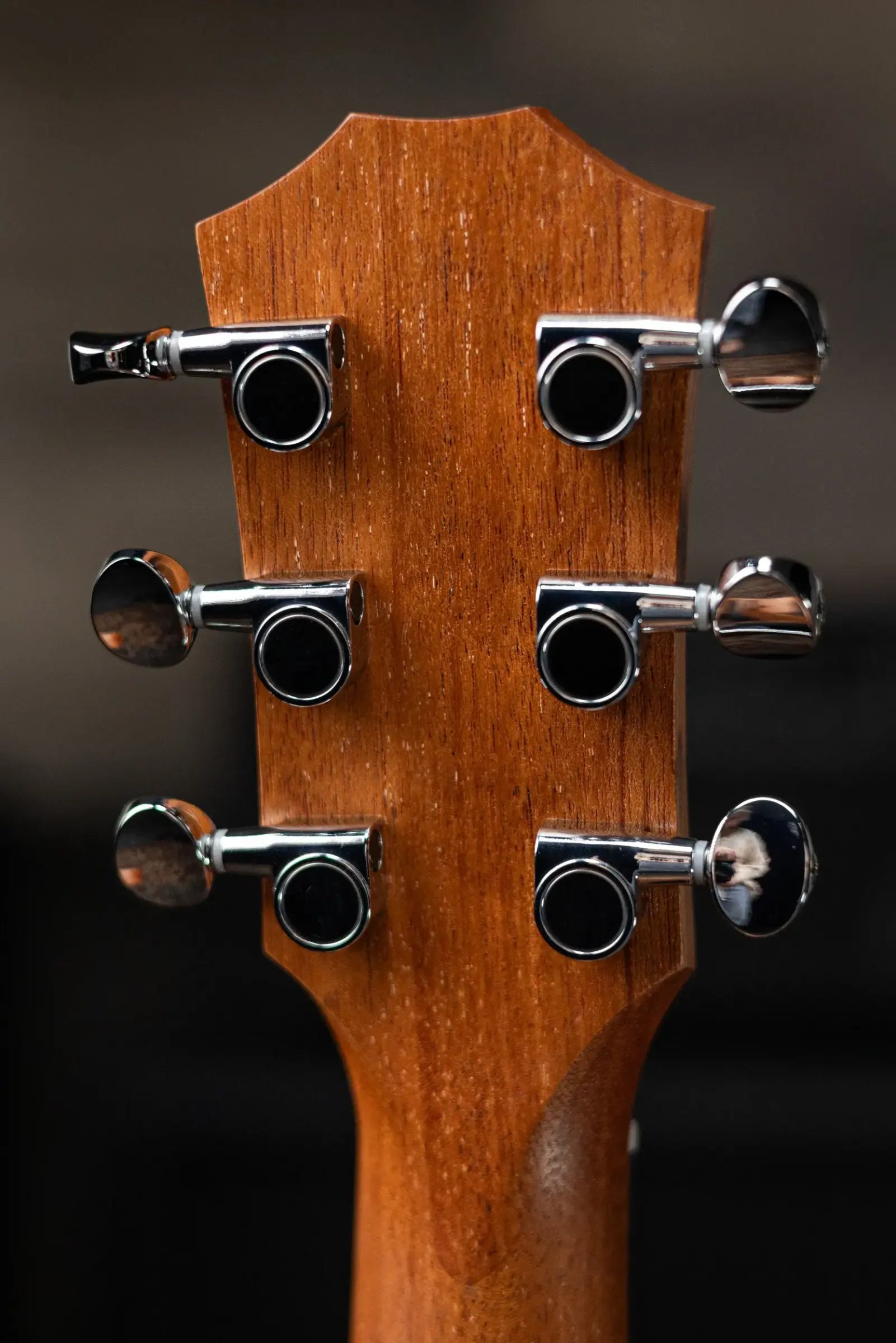 Taylor GS Mini Sapele Acoustic Guitar with Tan Structured Gig bag