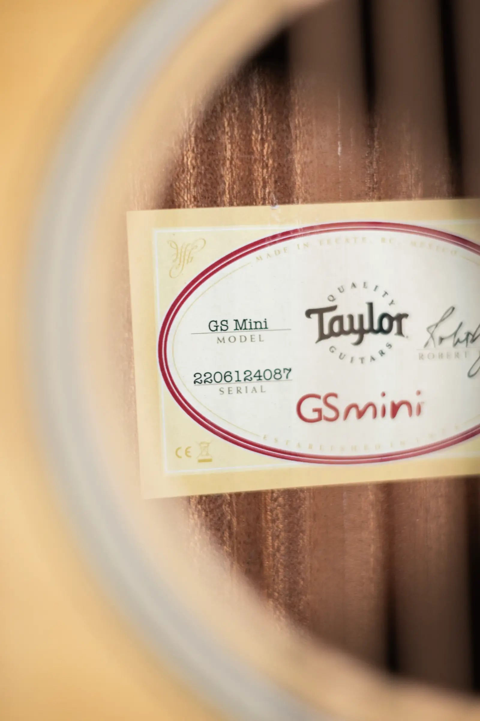 Taylor GS Mini Sapele Acoustic Guitar with Tan Structured Gigbag