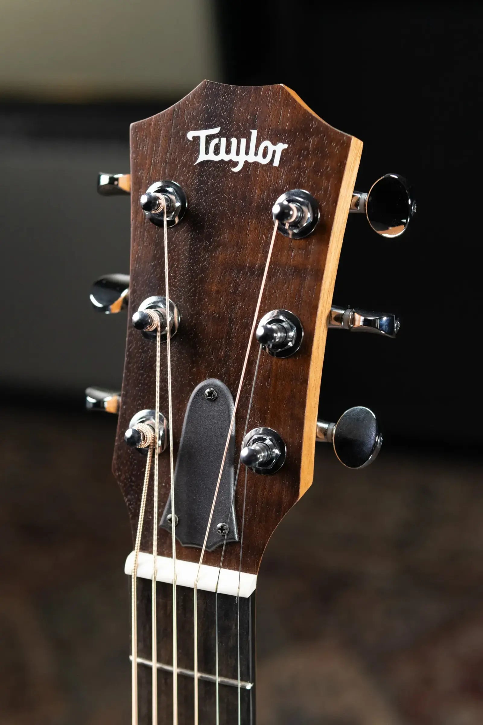 Taylor GS Mini Sapele with Tan Structured Gigbag