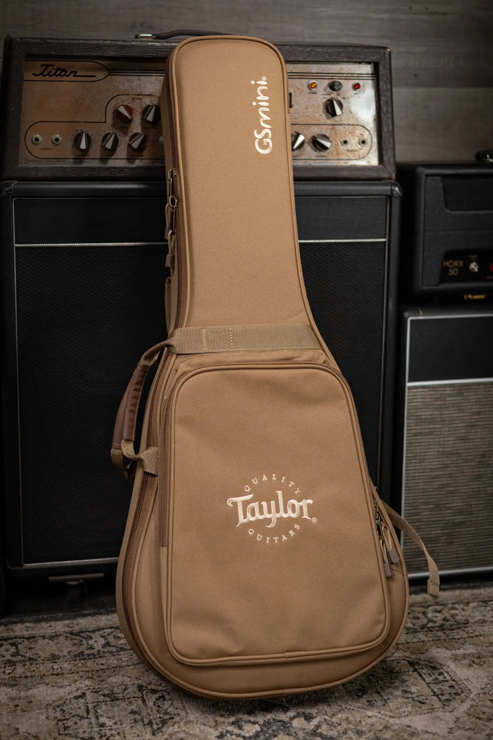 Taylor GS Mini Special Edition Guitars 4 Veterans Acoustic Guitar - Americana with GS Mini Bag