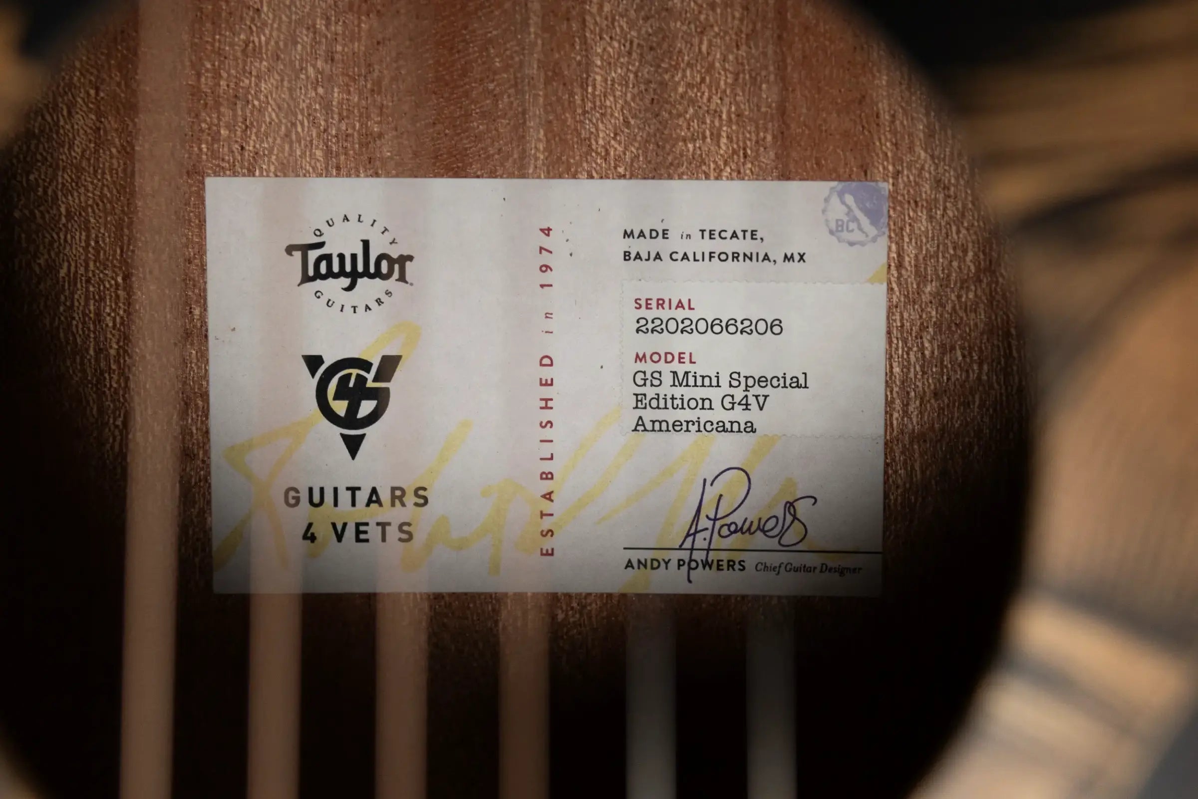 Taylor GS Mini Special Edition Guitars 4 Veterans Acoustic Guitar - Americana with GS Mini Bag