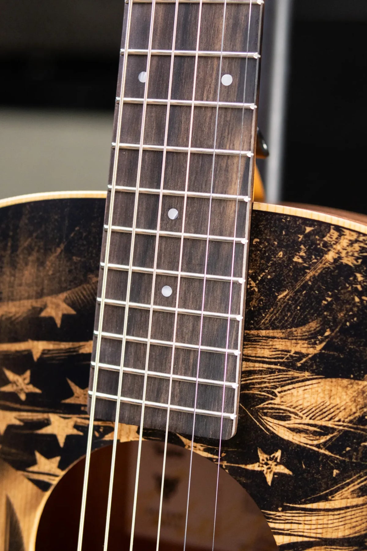 Taylor GS Mini Special Edition Guitars 4 Veterans Acoustic Guitar with GS Mini Bag