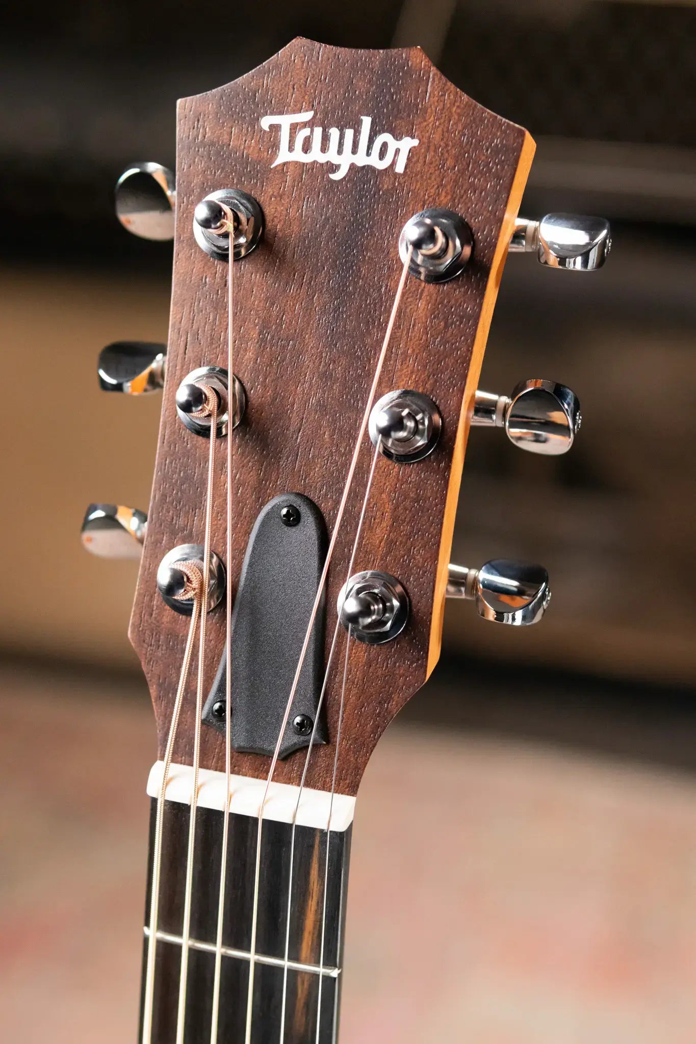 Taylor GS Mini Special Edition Guitars 4 Veterans Americana Acoustic Guitar with GS Mini Bag
