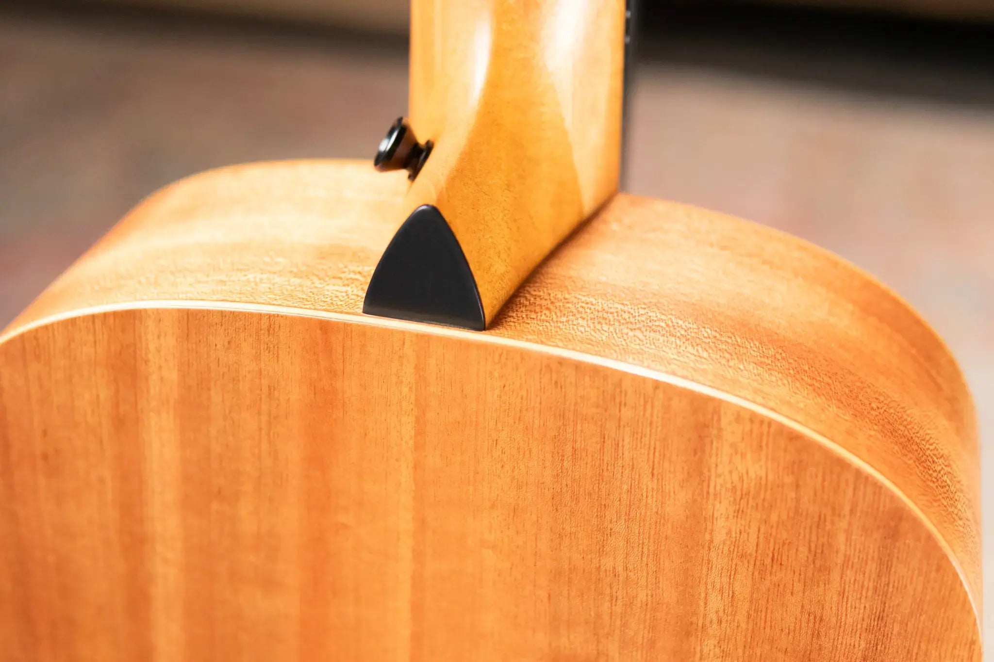 Taylor GS Mini Special Edition Guitars 4 Veterans Americana Acoustic Guitar with GS Mini Bag