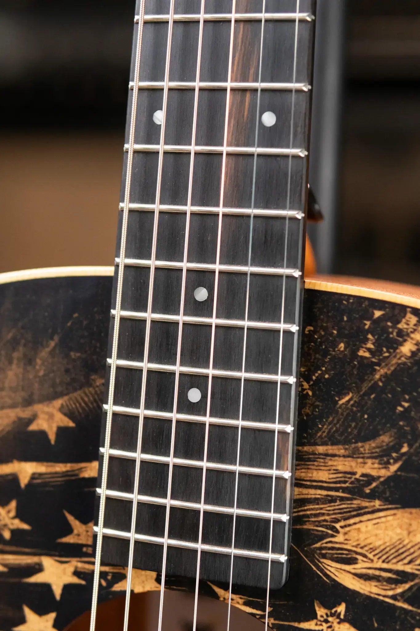 Taylor GS Mini Special Edition Guitars 4 Veterans Americana Acoustic Guitar with GS Mini Bag