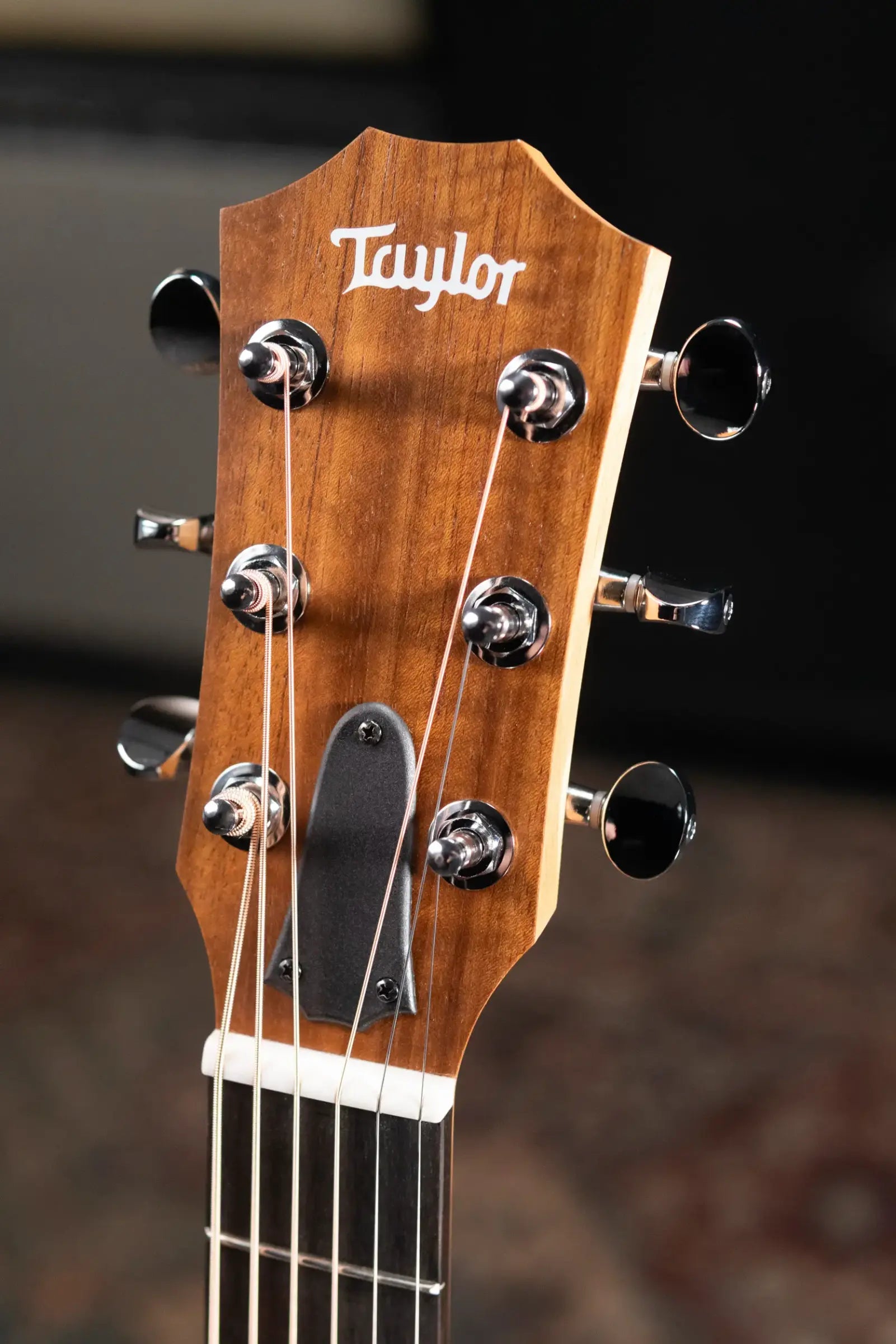 Taylor GS Mini Special Edition Guitars 4 Vets Americana Acoustic Guitar with Gig Bag