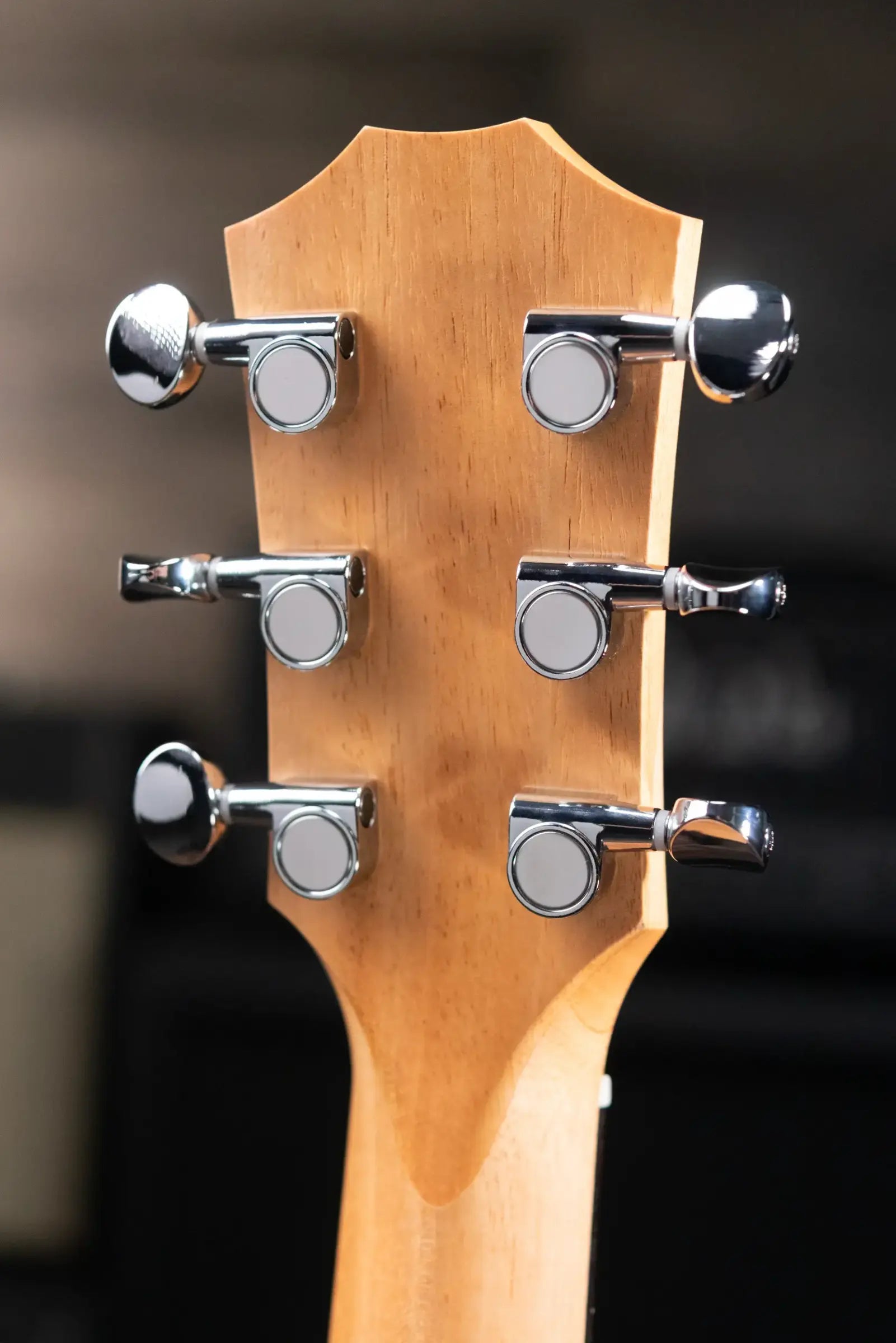 Taylor GS Mini Special Edition Guitars 4 Vets Americana Acoustic Guitar with Gig Bag