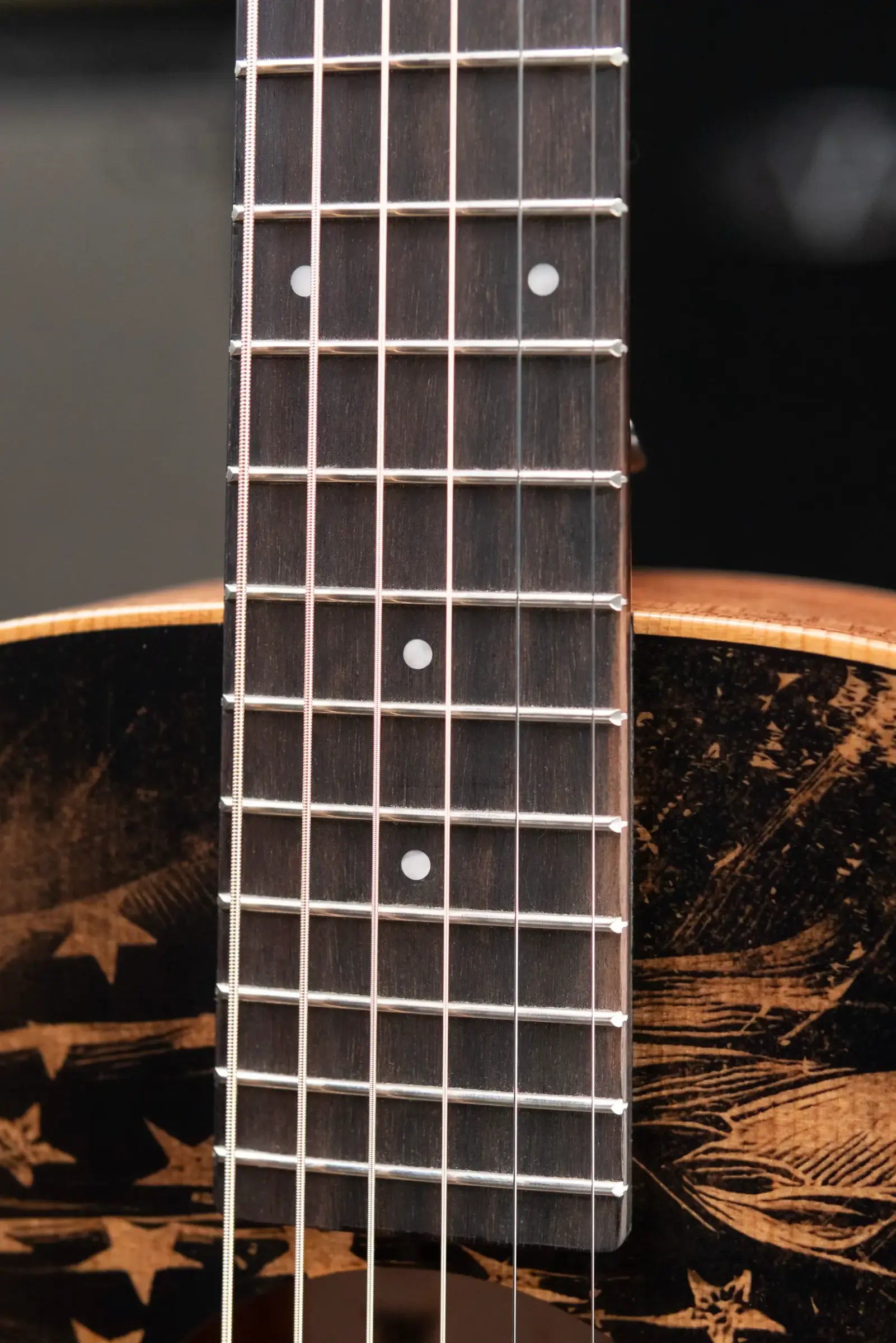 Taylor GS Mini Special Edition Guitars 4 Vets Americana Acoustic Guitar with Gig Bag