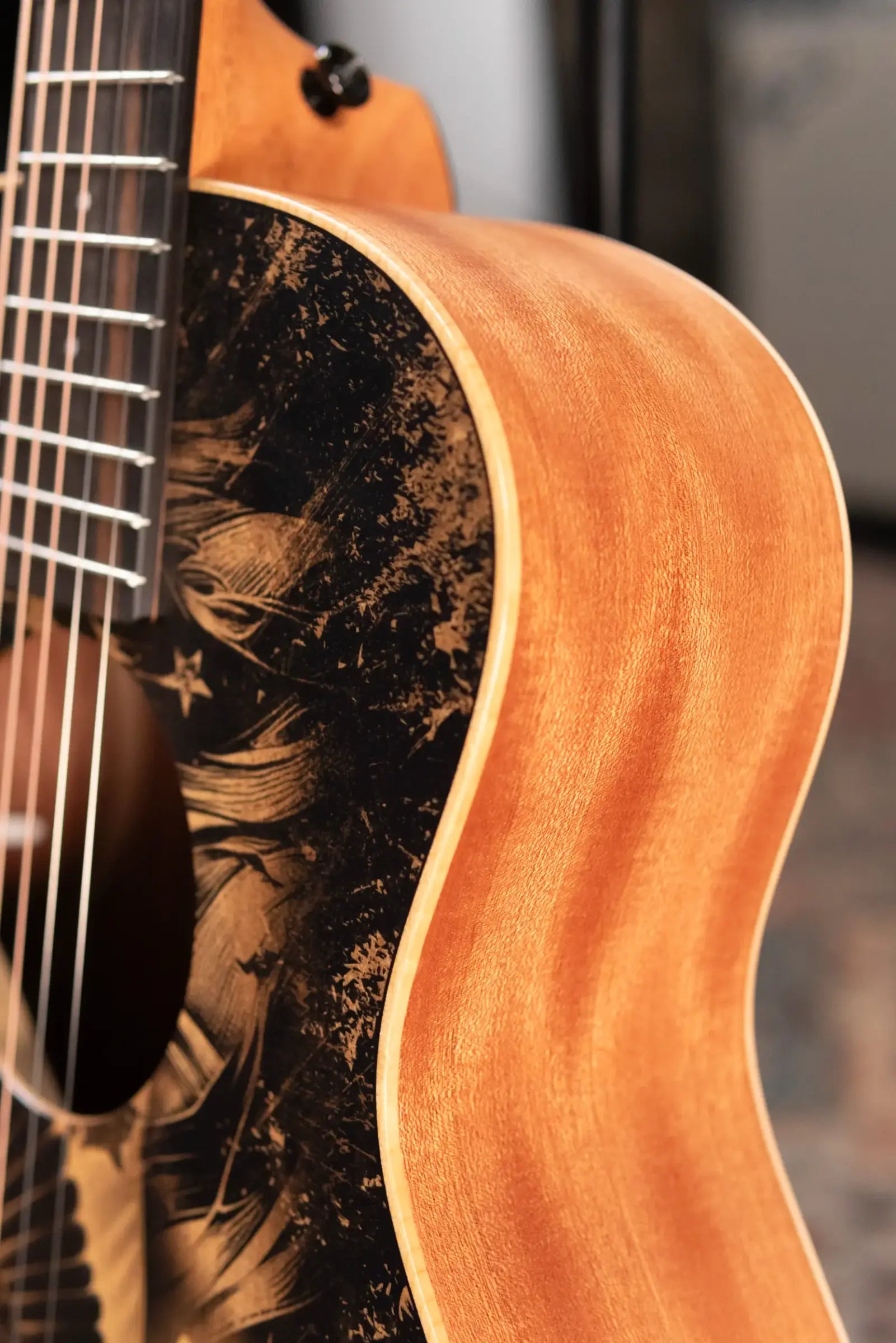 Taylor GS Mini Special Edition Guitars 4 Vets Americana Acoustic Guitar with Gig Bag