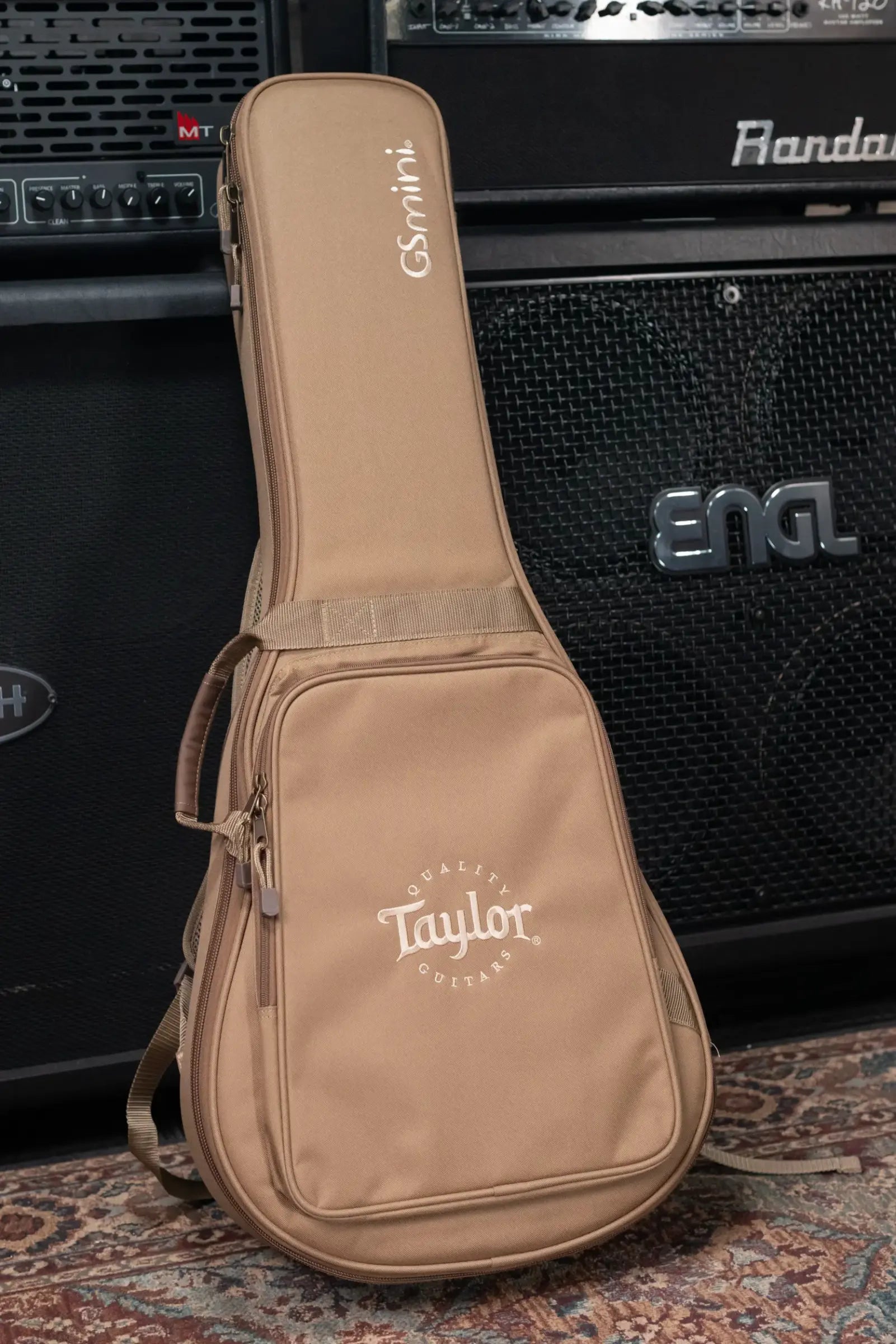 Taylor GS Mini Special Edition Guitars 4 Vets Americana Acoustic Guitar with Gig Bag