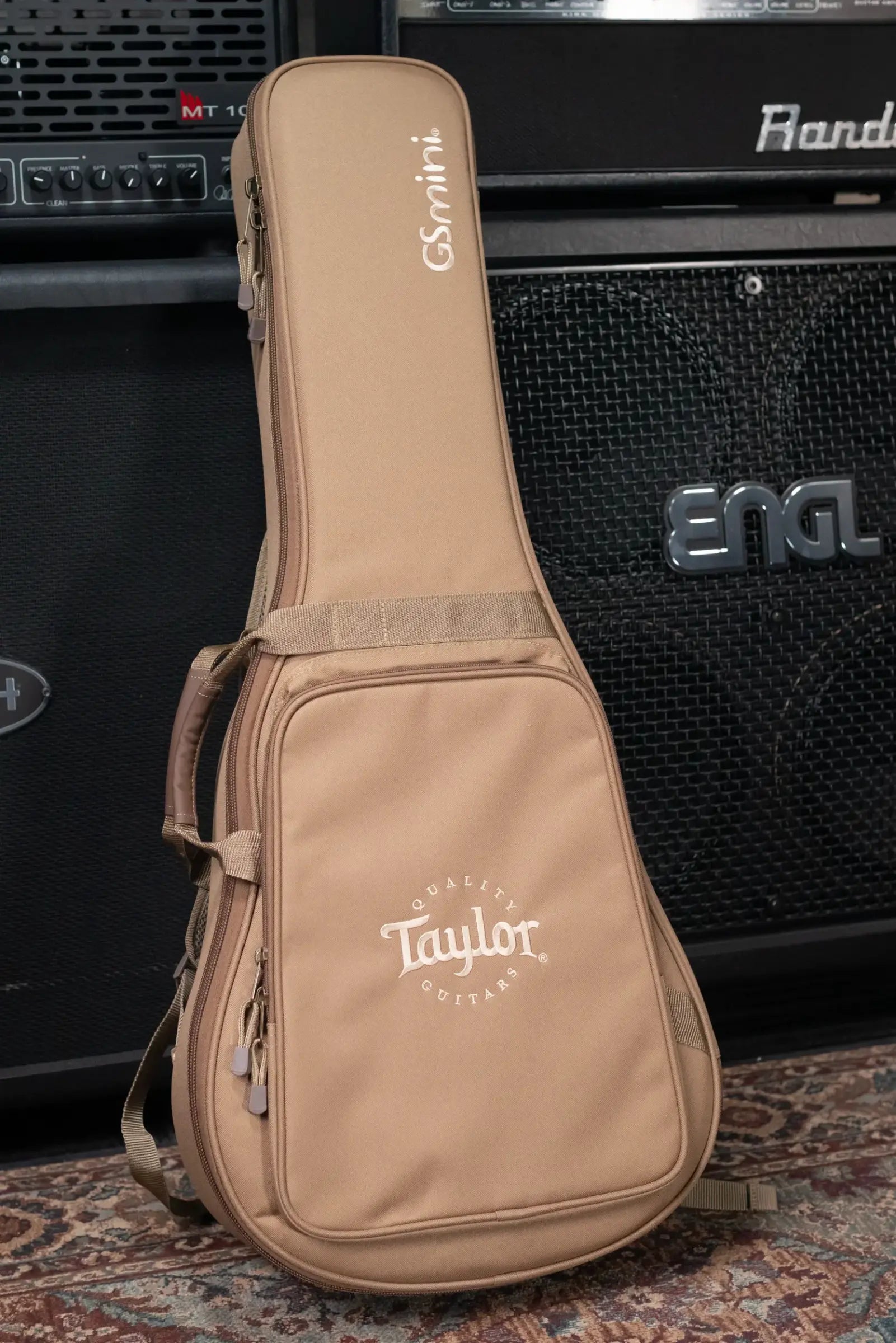 Taylor GS Mini Special Edition Guitars 4 Vets Americana Acoustic Guitar with Gig Bag