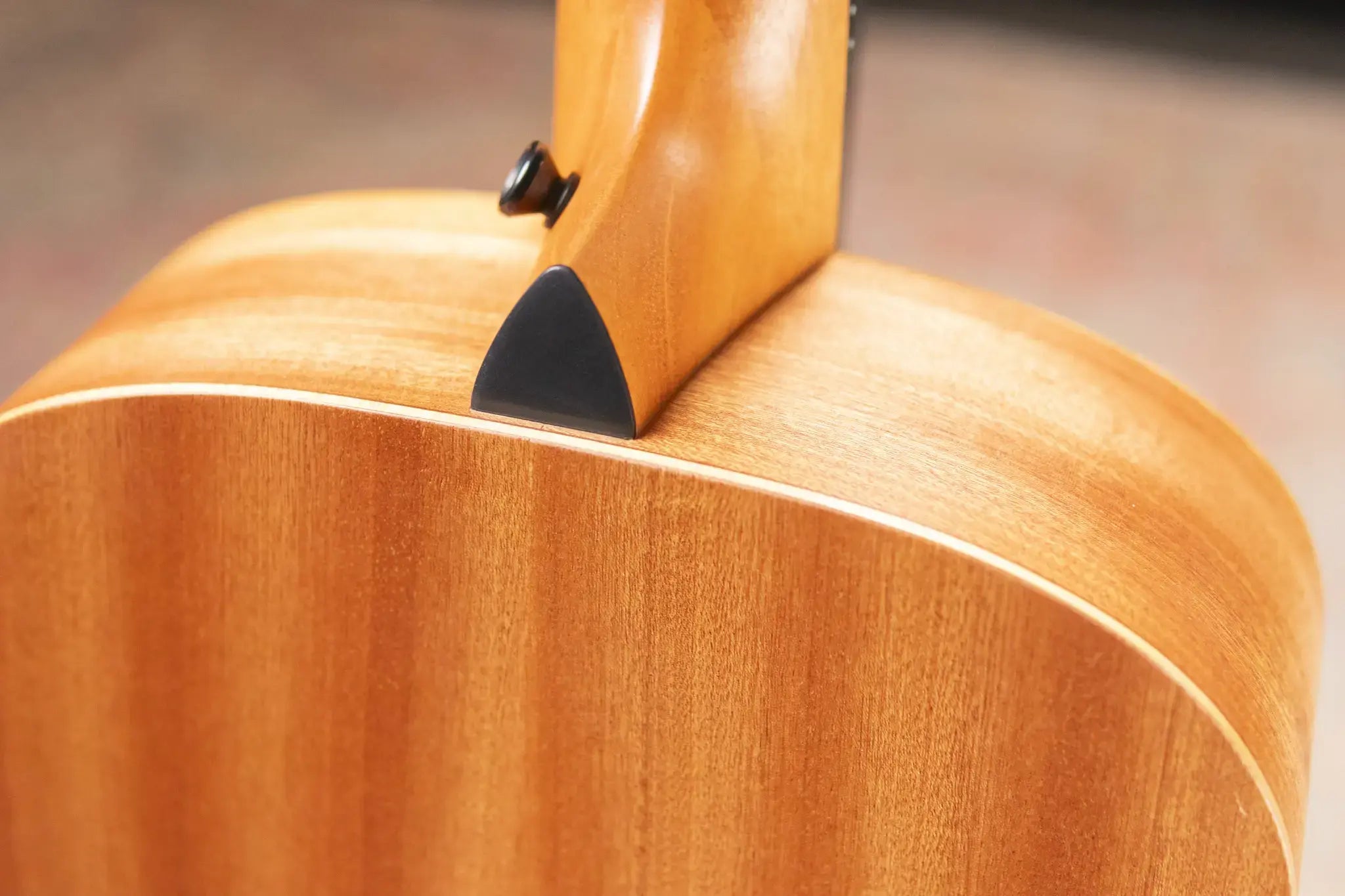 Taylor GS Mini Special Edition ZEDD Telos Acoustic Guitar with Gig Bag