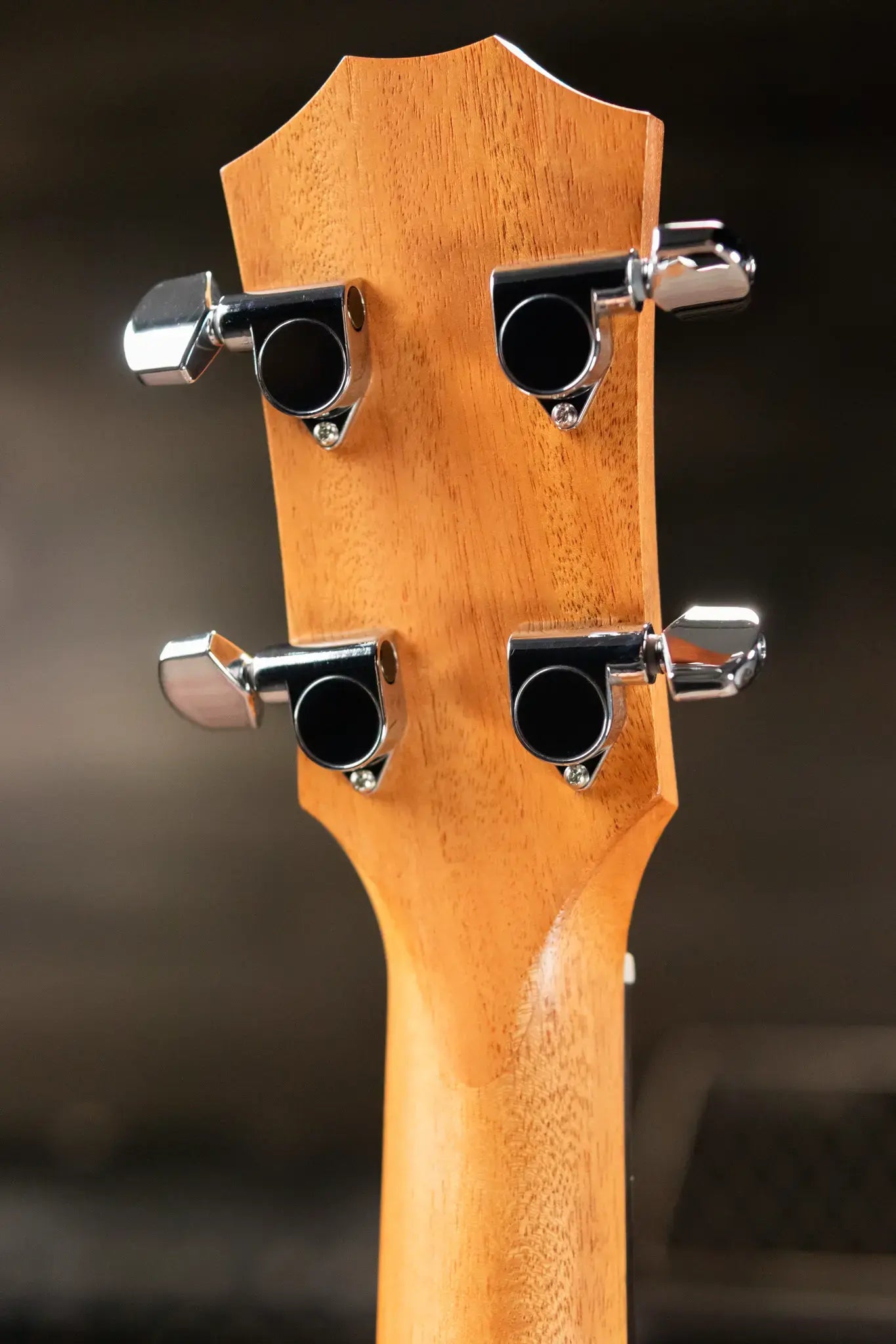 Taylor GS Mini-e Bass Acoustic/Electric - Sapele with GS Mini Bag - Factory Used