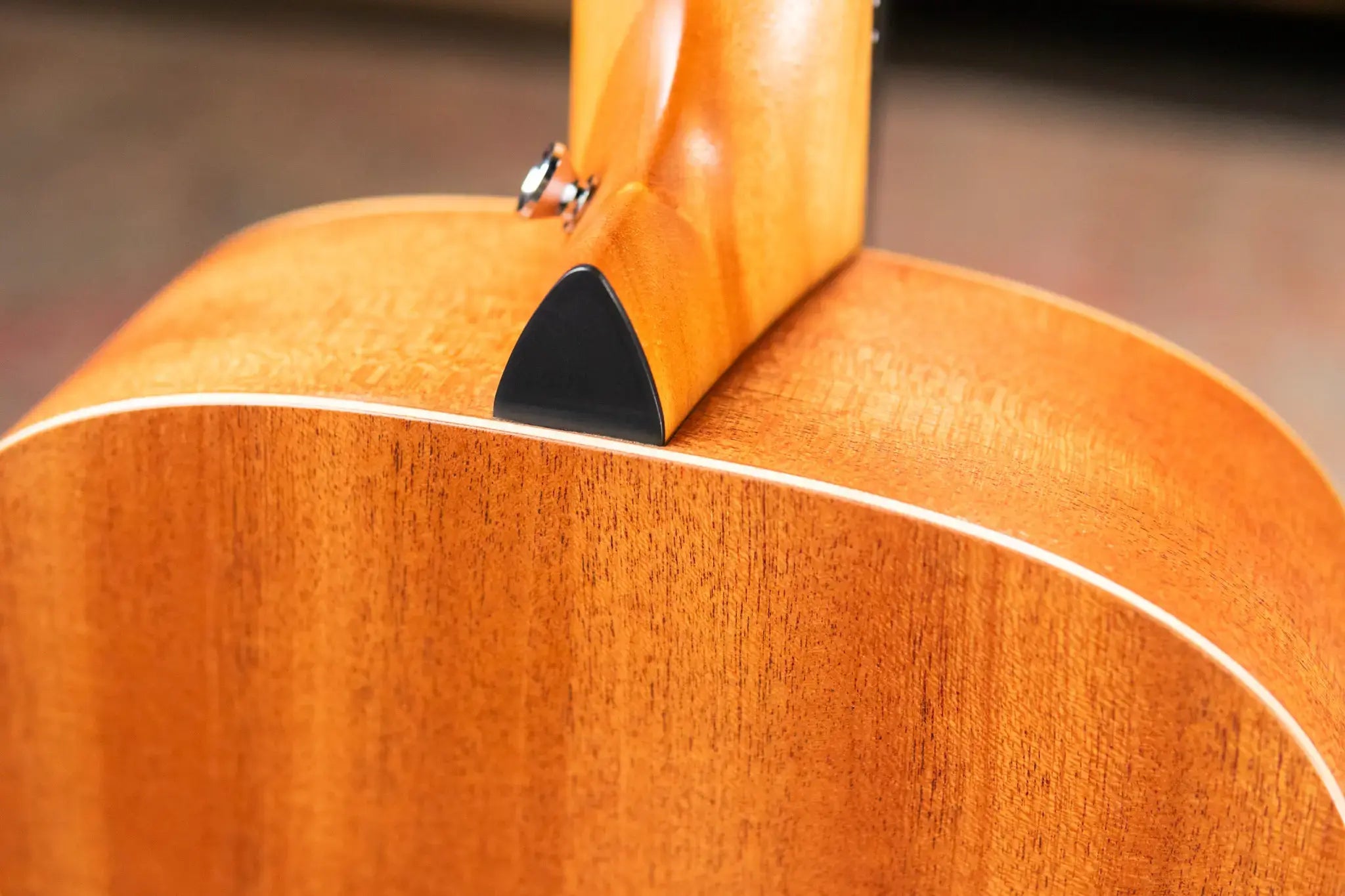 Taylor GS Mini-e Bass Acoustic/Electric - Sapele with GS Mini Bag - Factory Used