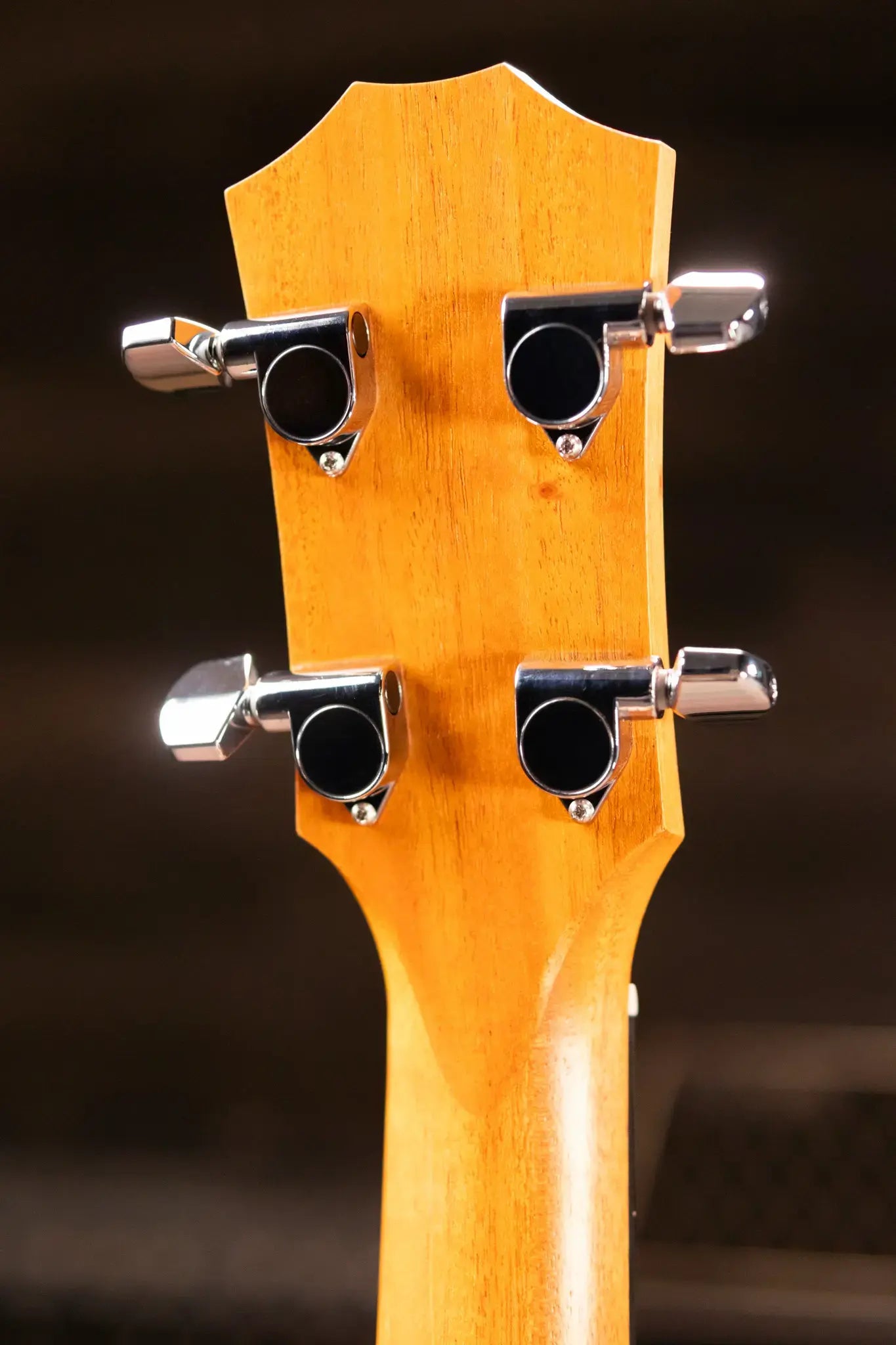 Taylor GS Mini-e Koa Acoustic/Electric Bass with GS Mini Bag