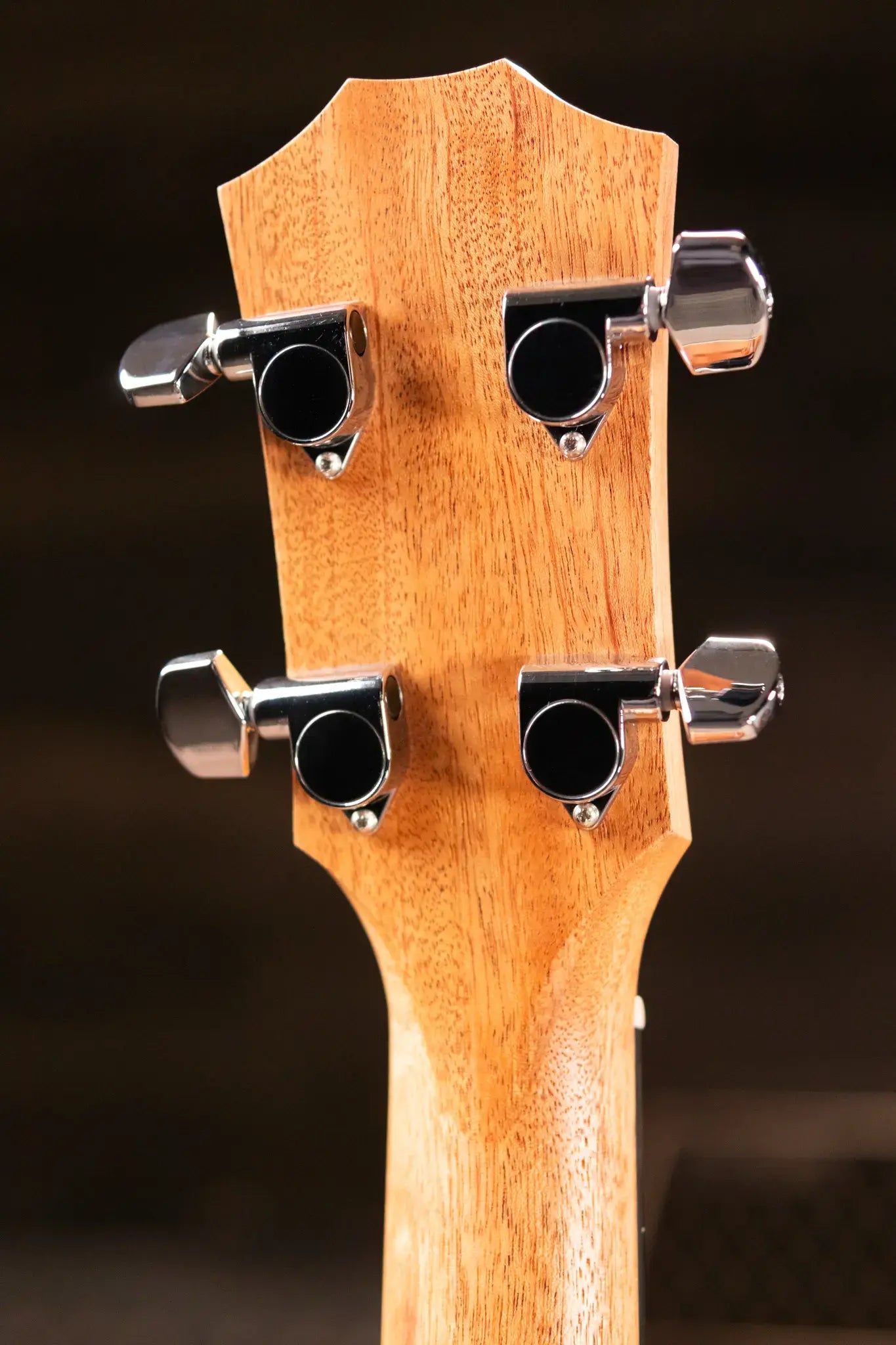 Taylor GS Mini-e Koa Acoustic/Electric Bass with GS Mini Bag