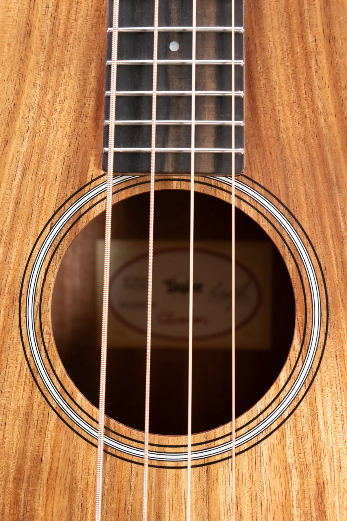 Taylor GS Mini-e Koa Acoustic/Electric Bass with GS Mini Bag