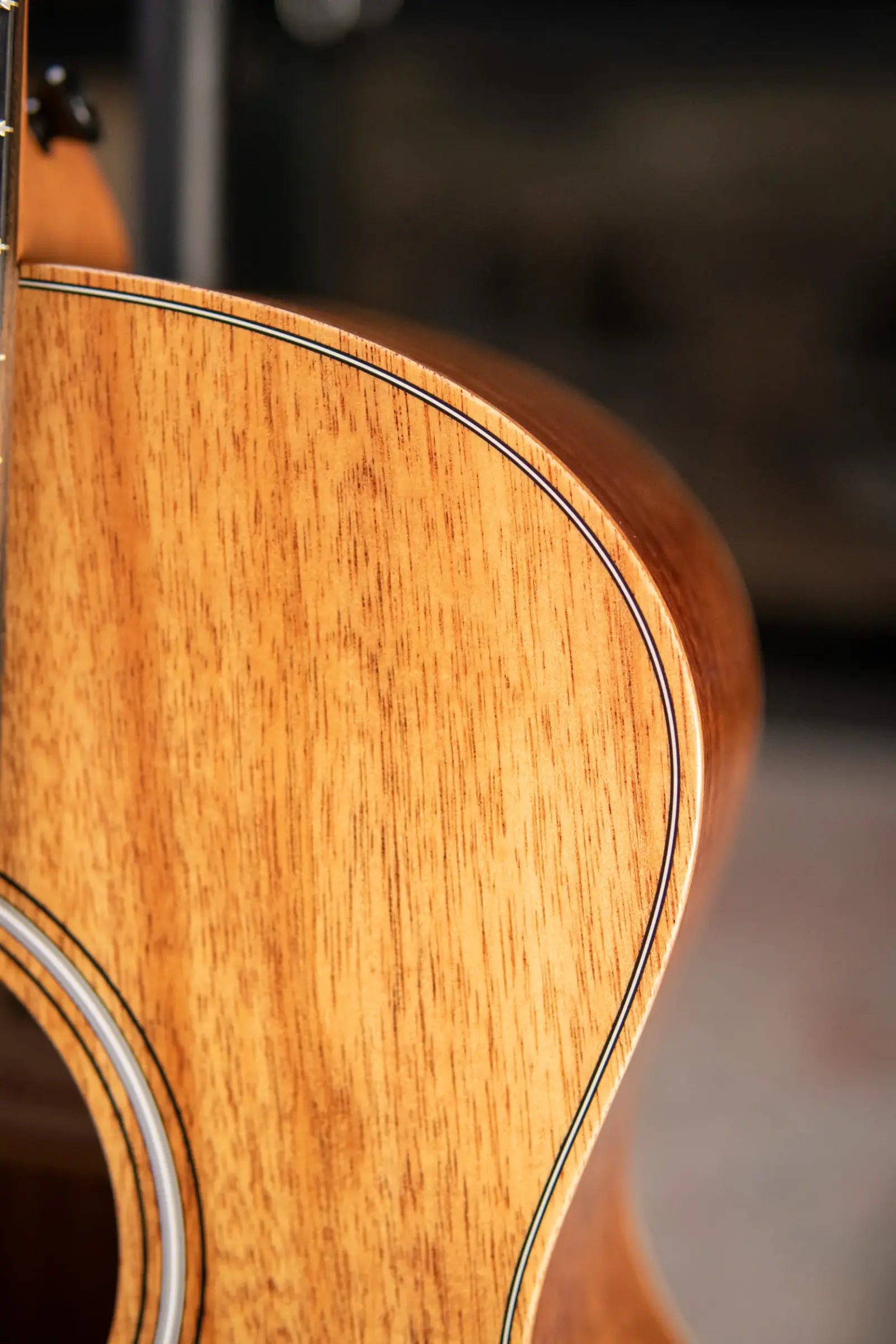 Taylor GS Mini-e Koa Acoustic/Electric Bass with GS Mini Hard Bag