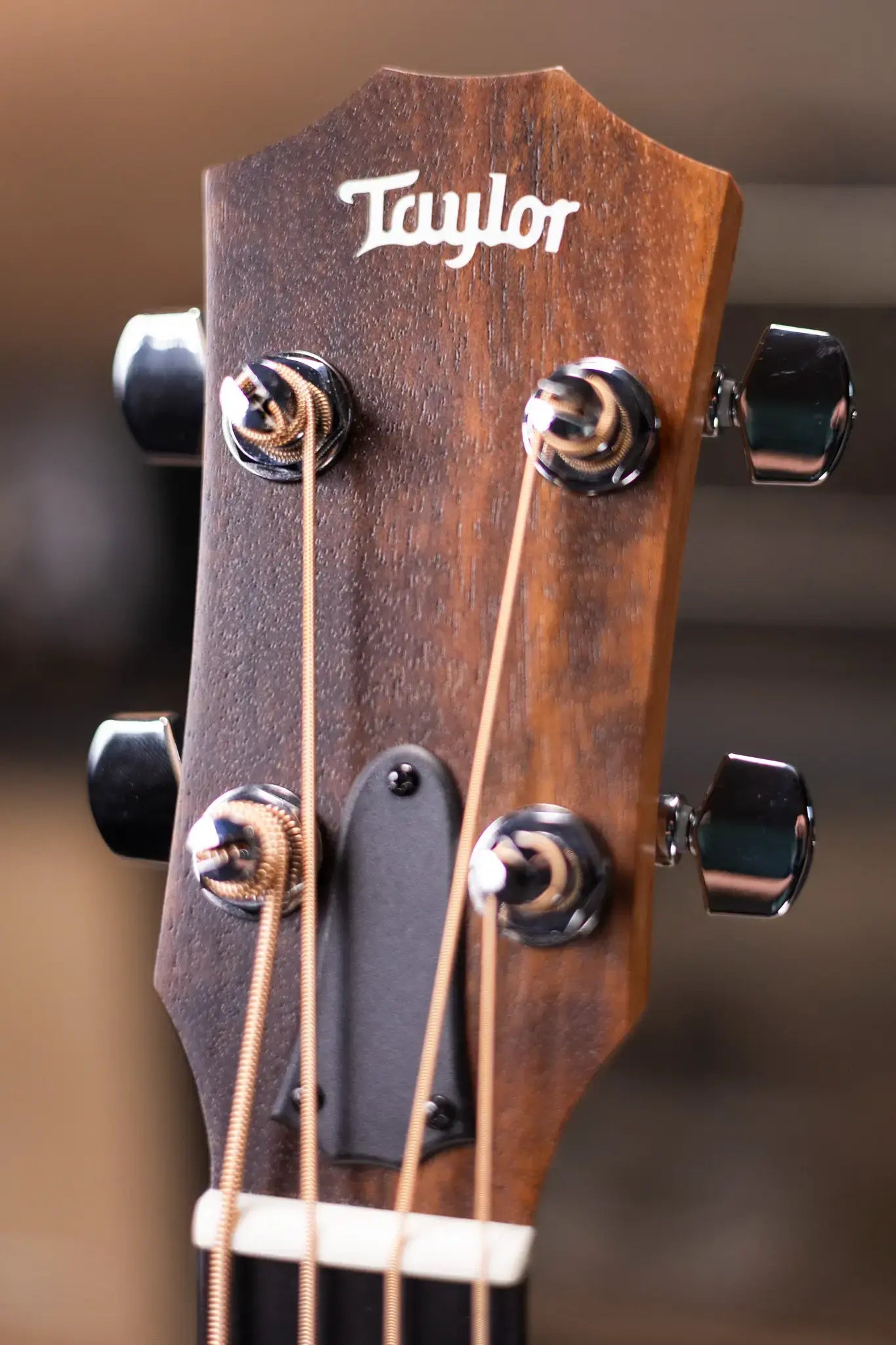 Taylor GS Mini-e Koa Bass with GS Mini Bag