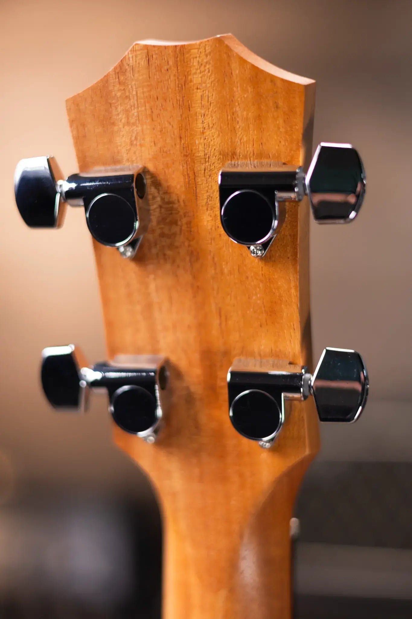 Taylor GS Mini-e Koa Bass with GS Mini Bag