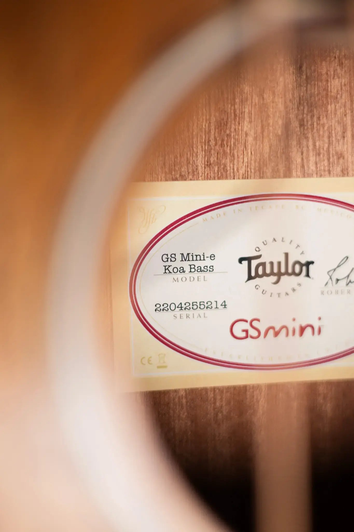 Taylor GS Mini-e Koa Bass with GS Mini Bag