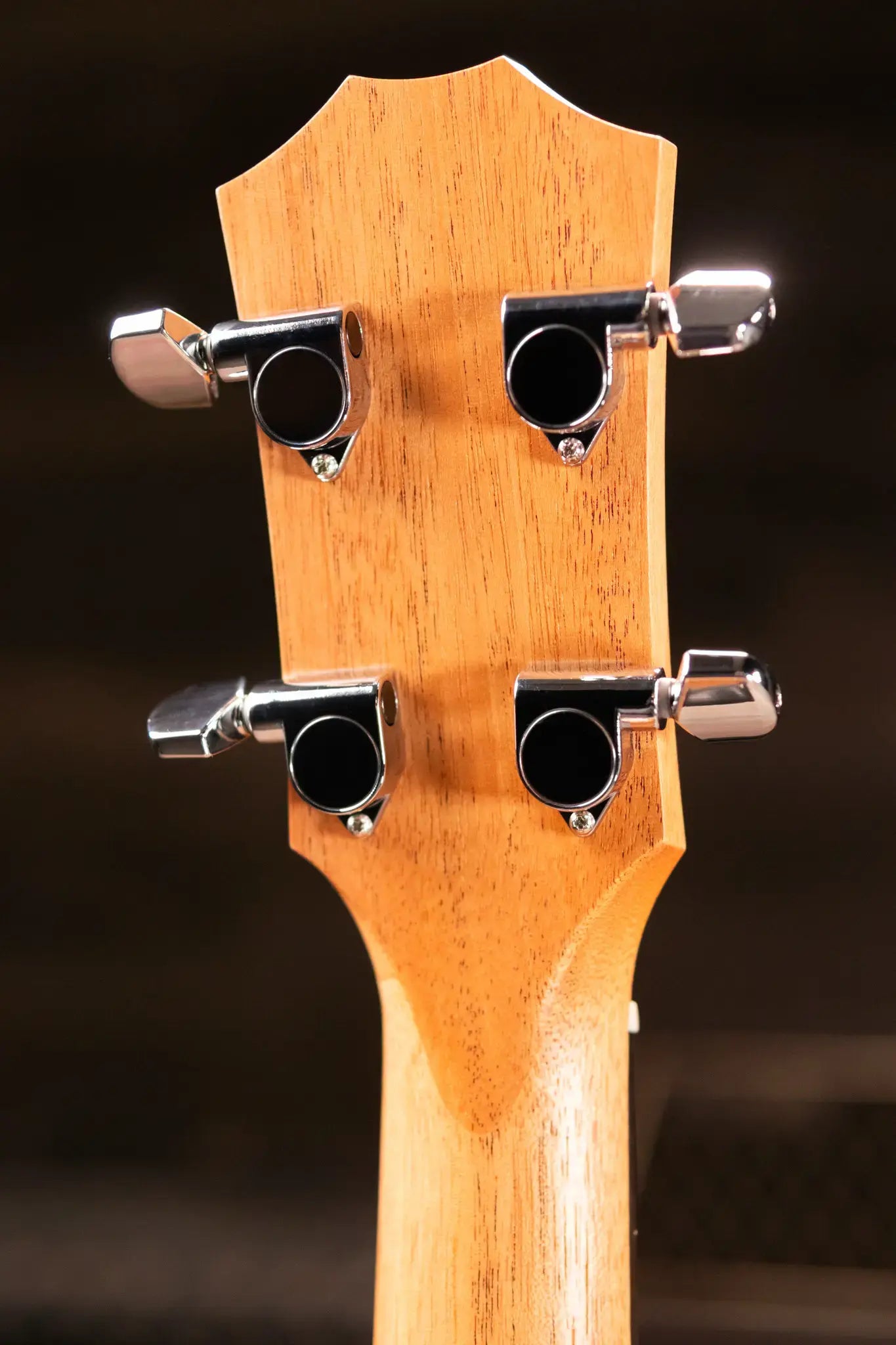 Taylor GS Mini-e Koa Bass with GS Mini Bag