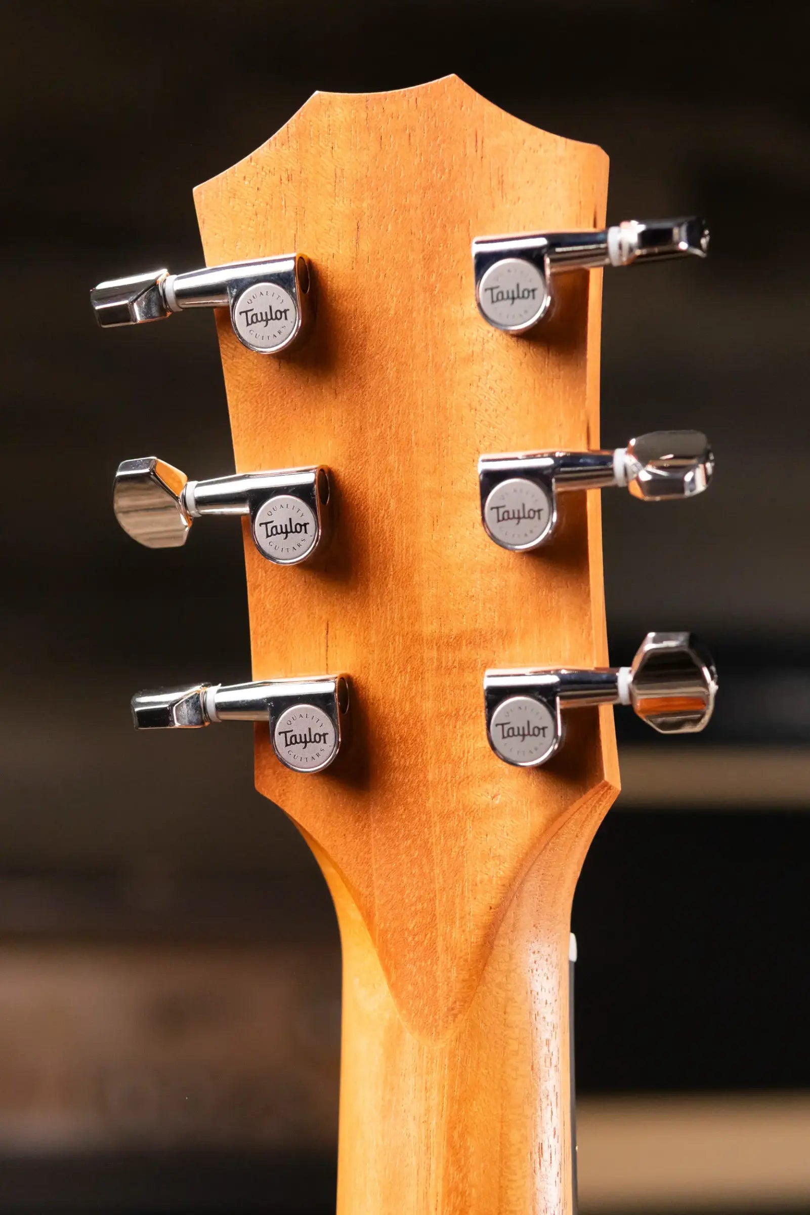 Taylor GS Mini-e Koa Plus Acoustic-Electric Guitar with Aerocase