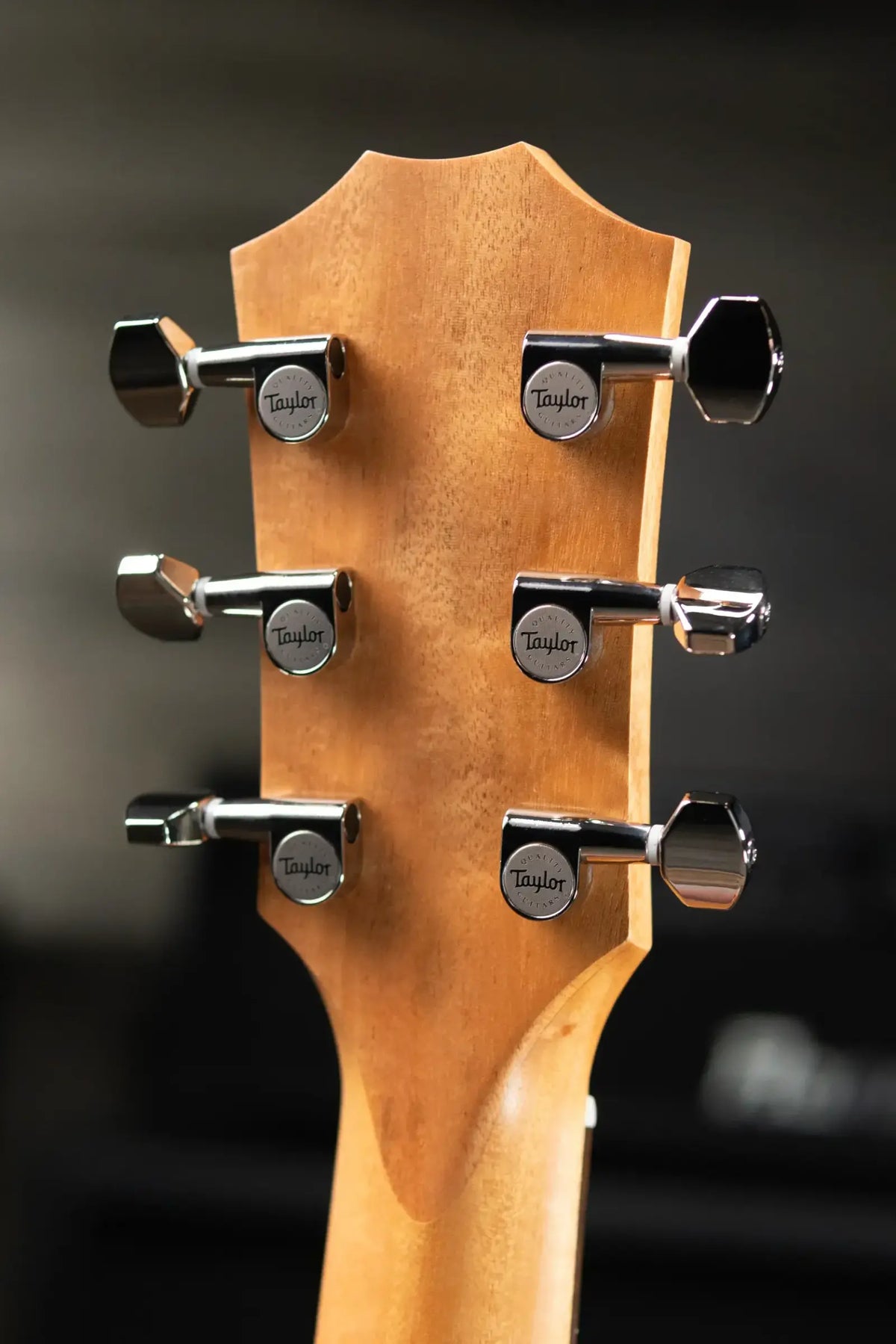 Taylor GS Mini-e Koa Plus Acoustic-Electric Guitar with Aerocase