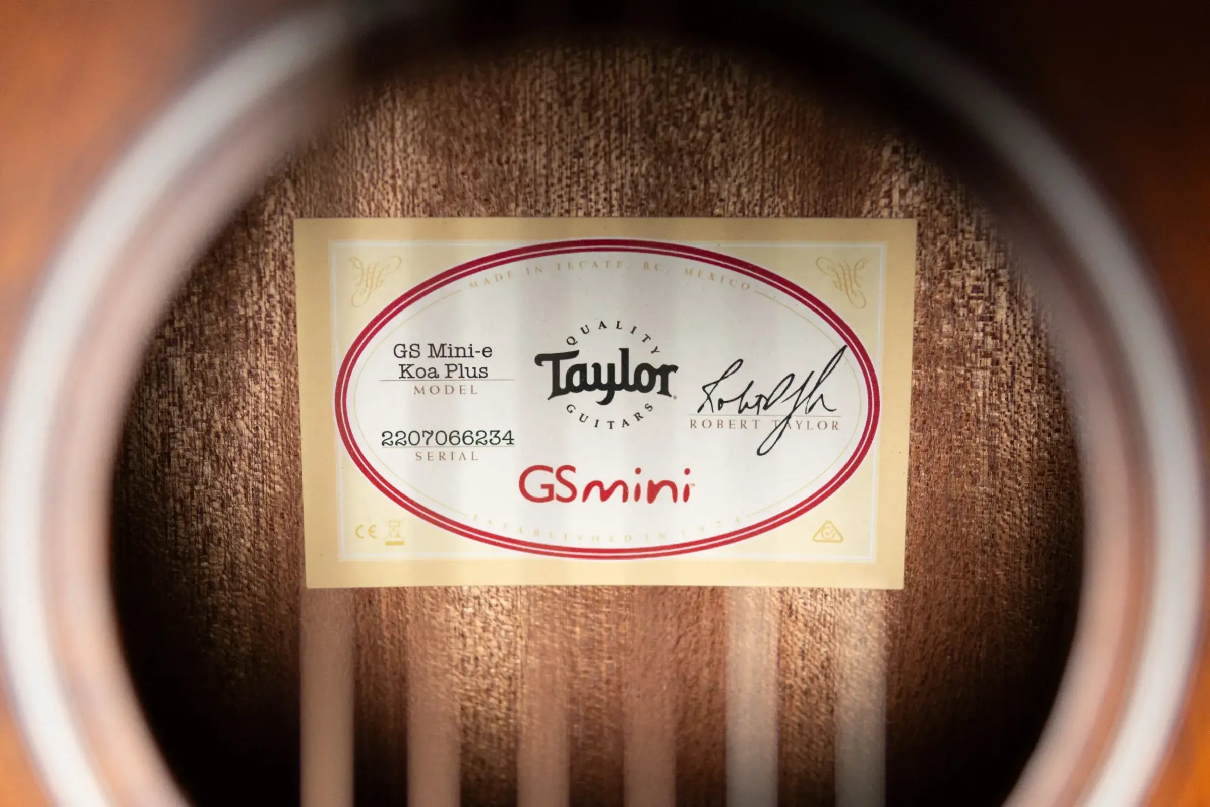 Taylor GS Mini-e Koa Plus Acoustic/Electric Guitar with Aerocase