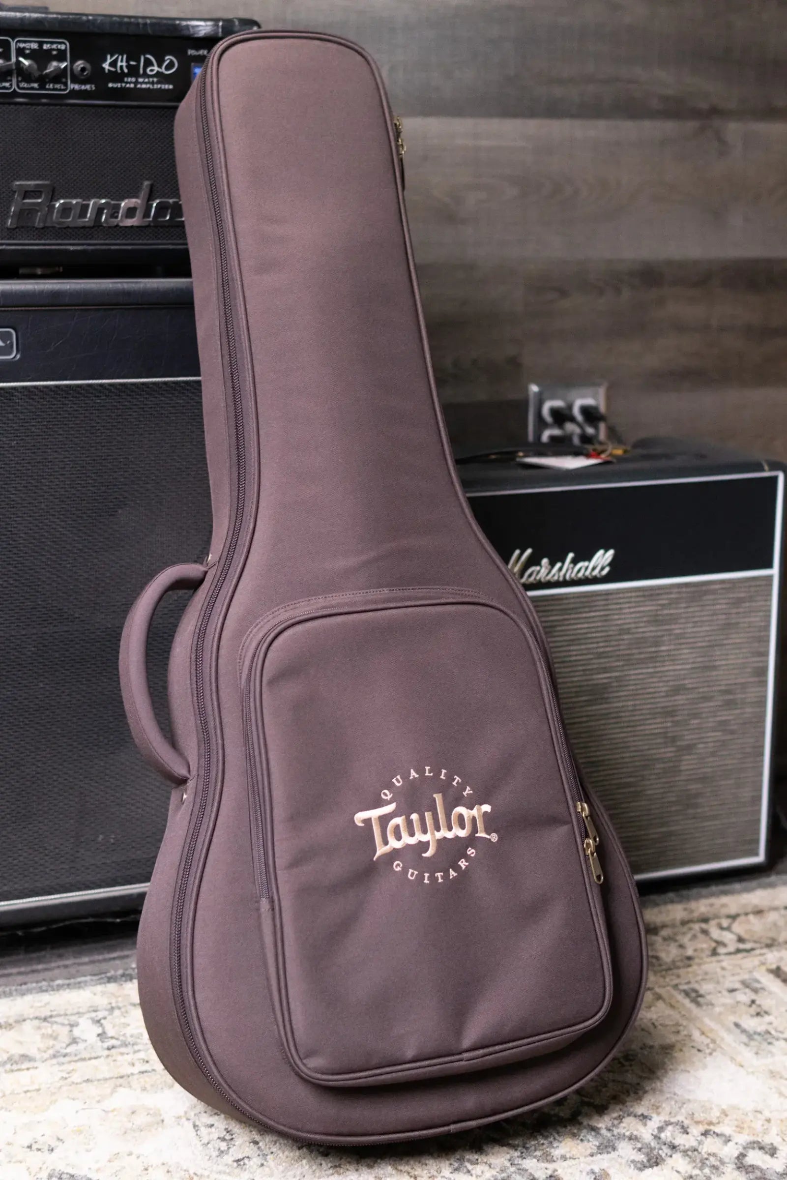 Taylor GS Mini-e Koa Plus Acoustic/Electric Guitar with Aerocase