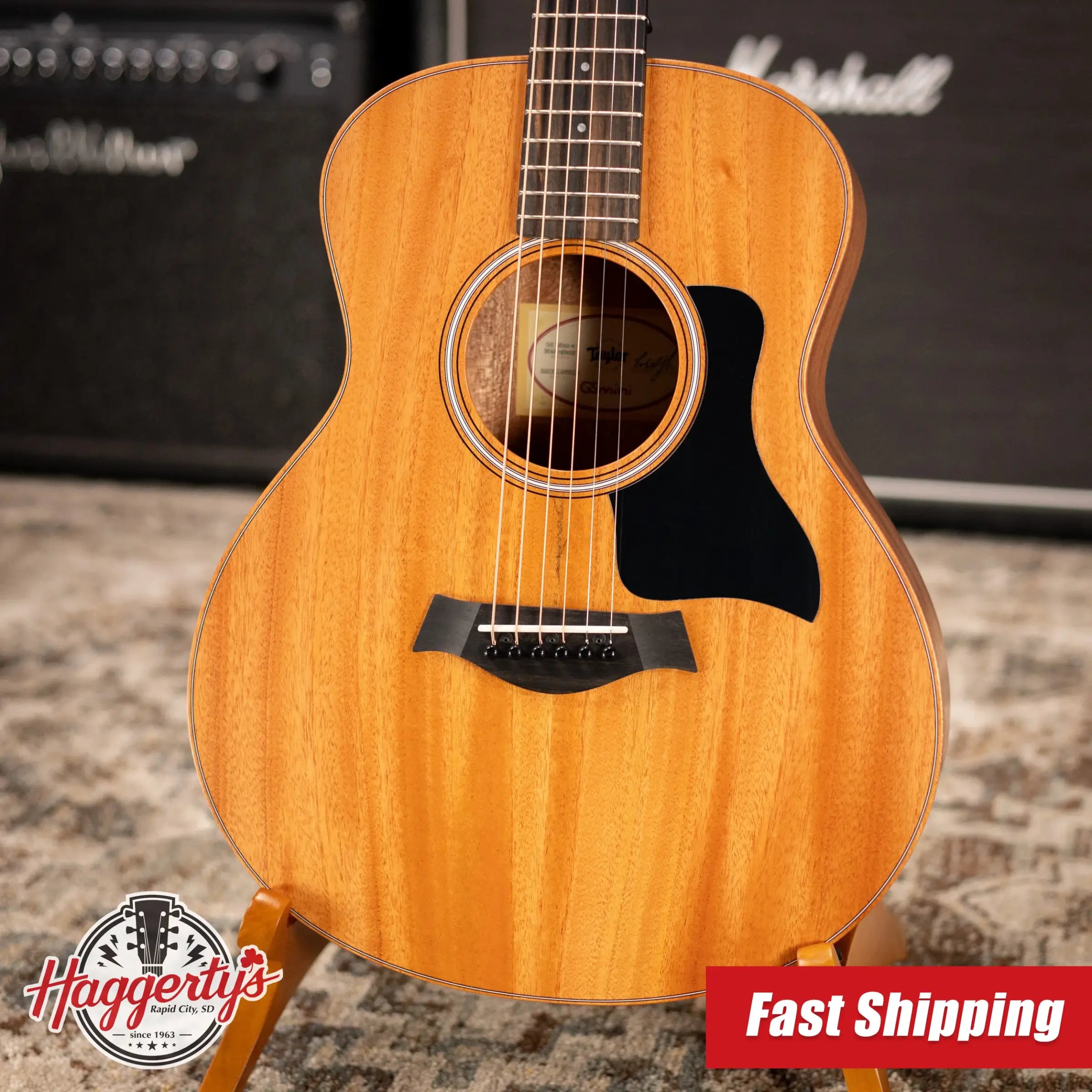Taylor GS Mini-e Mahogany Acoustic/Electric Guitar with GS Mini Bag
