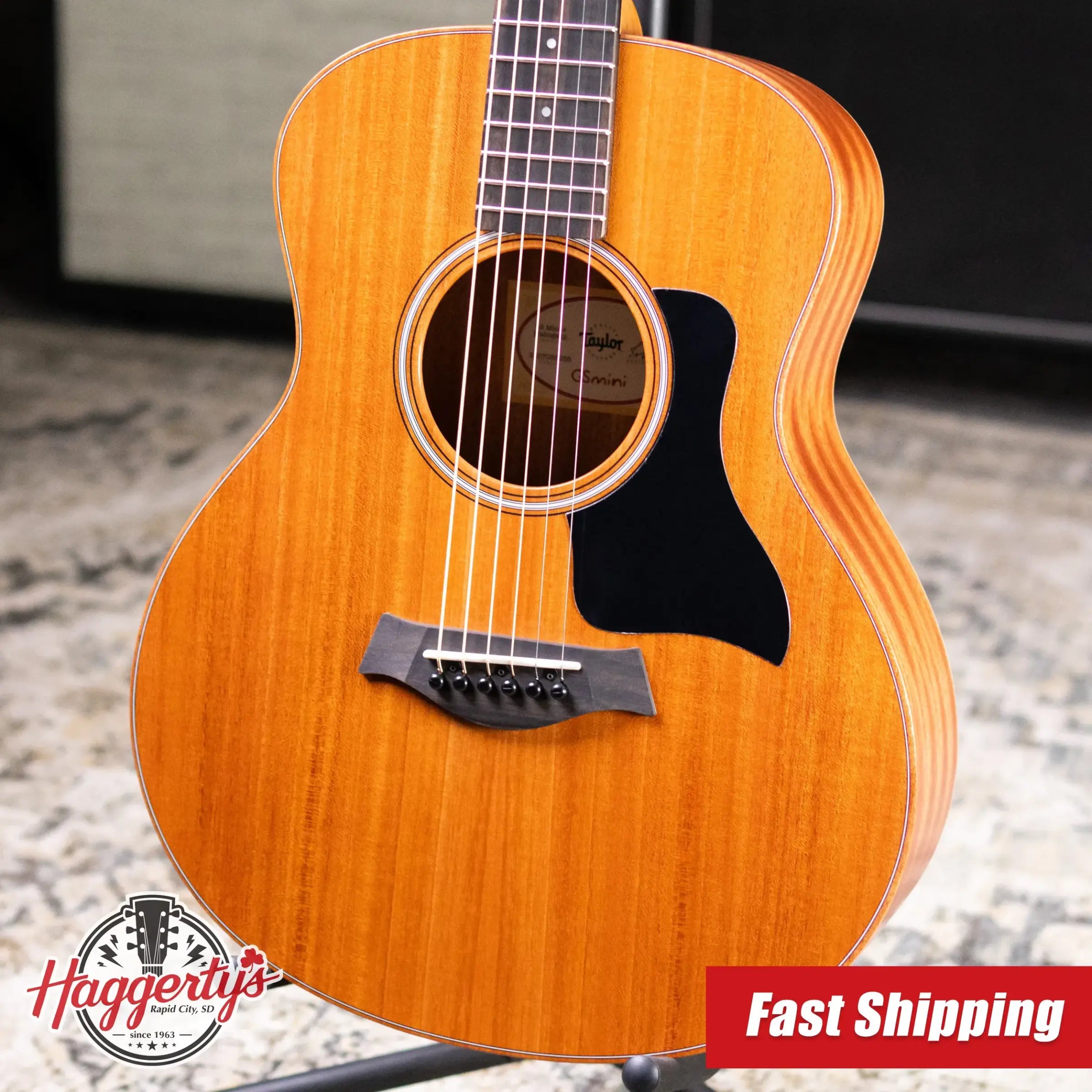 Taylor GS Mini-e Mahogany Acoustic/Electric Guitar with GS Mini Hard Bag