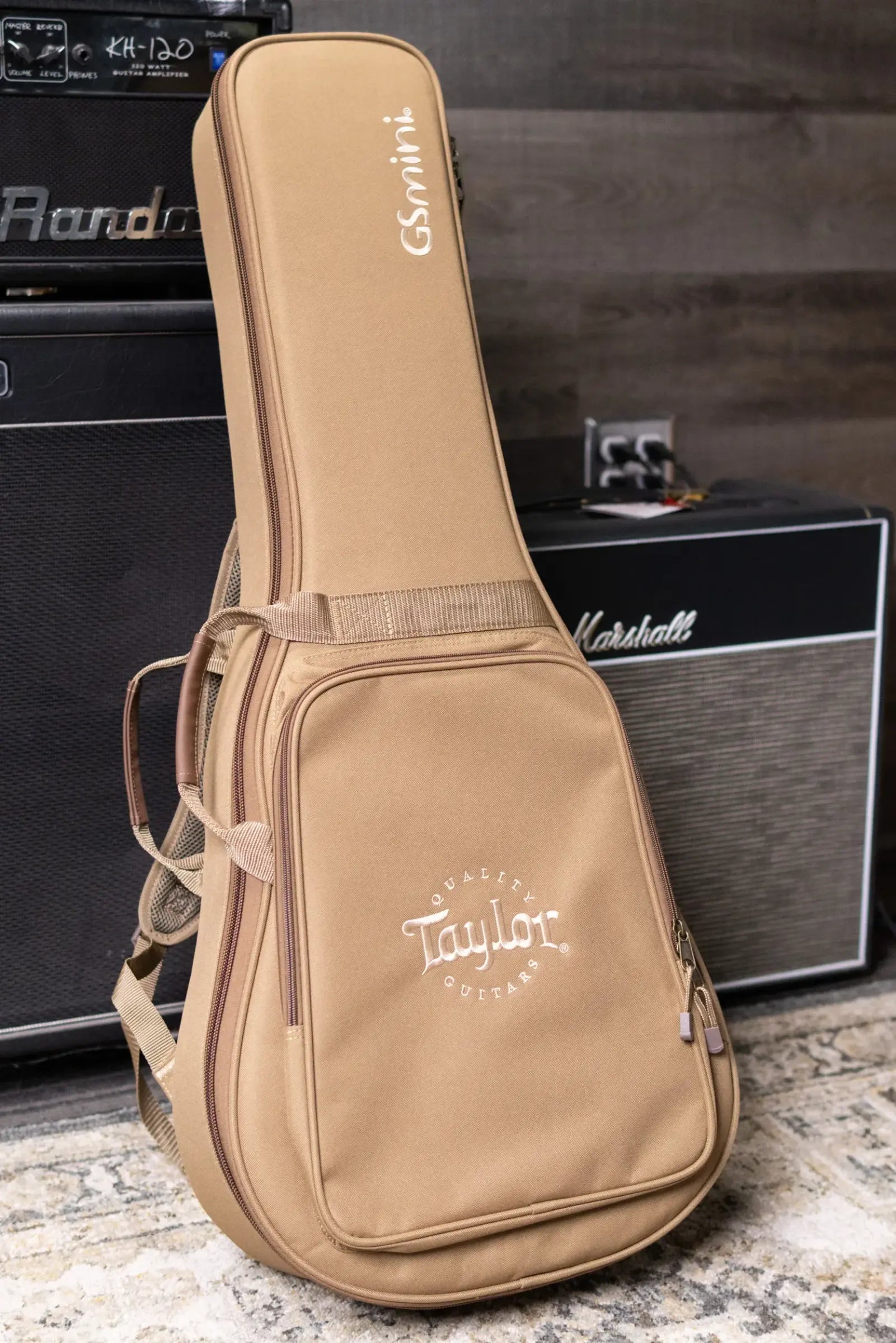 Taylor GS Mini-e Mahogany Acoustic/Electric Guitar with GS Mini Hard Bag