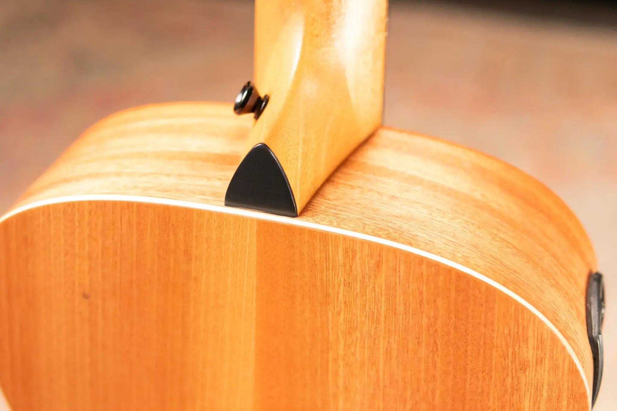 Taylor GS Mini-e Mahogany Acoustic/Electric Guitar with Gig Bag