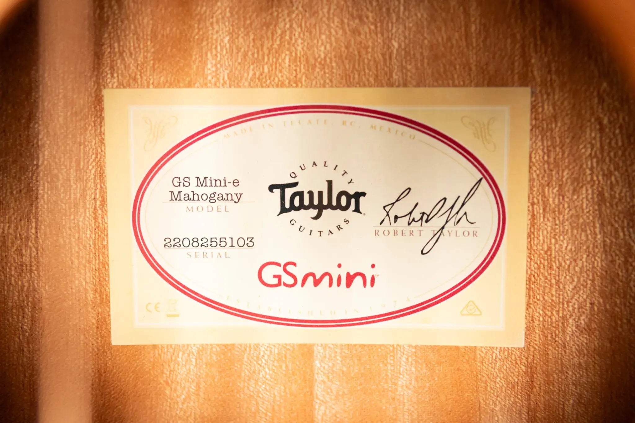 Taylor GS Mini-e Mahogany Acoustic/Electric Guitar with Gig Bag