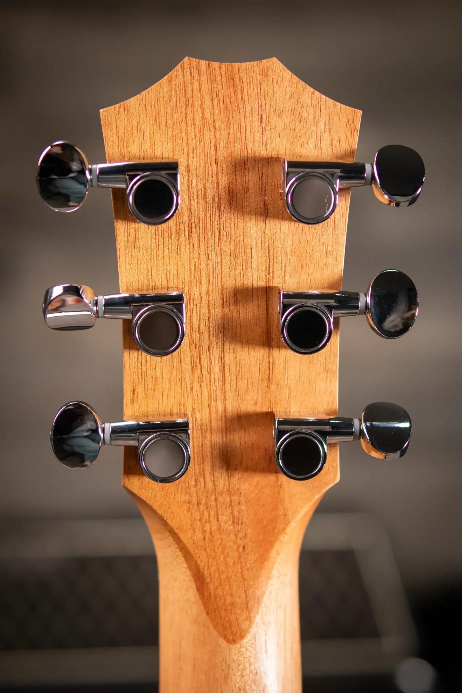 Taylor GS Mini-e Mahogany Acoustic/Electric Guitar with Gig Bag