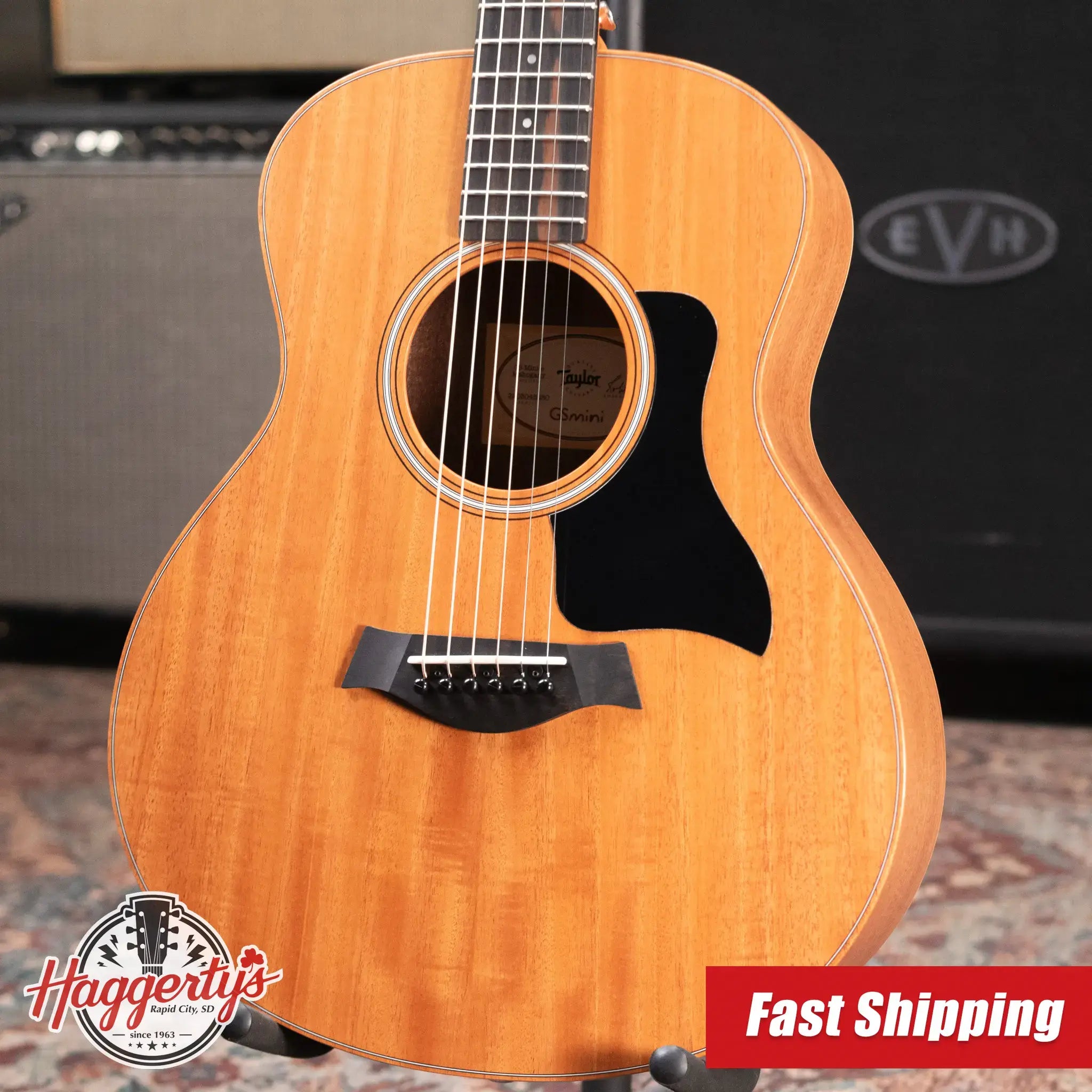 Taylor GS Mini-e Mahogany Acoustic/Electric Guitar with Structured Gig Bag