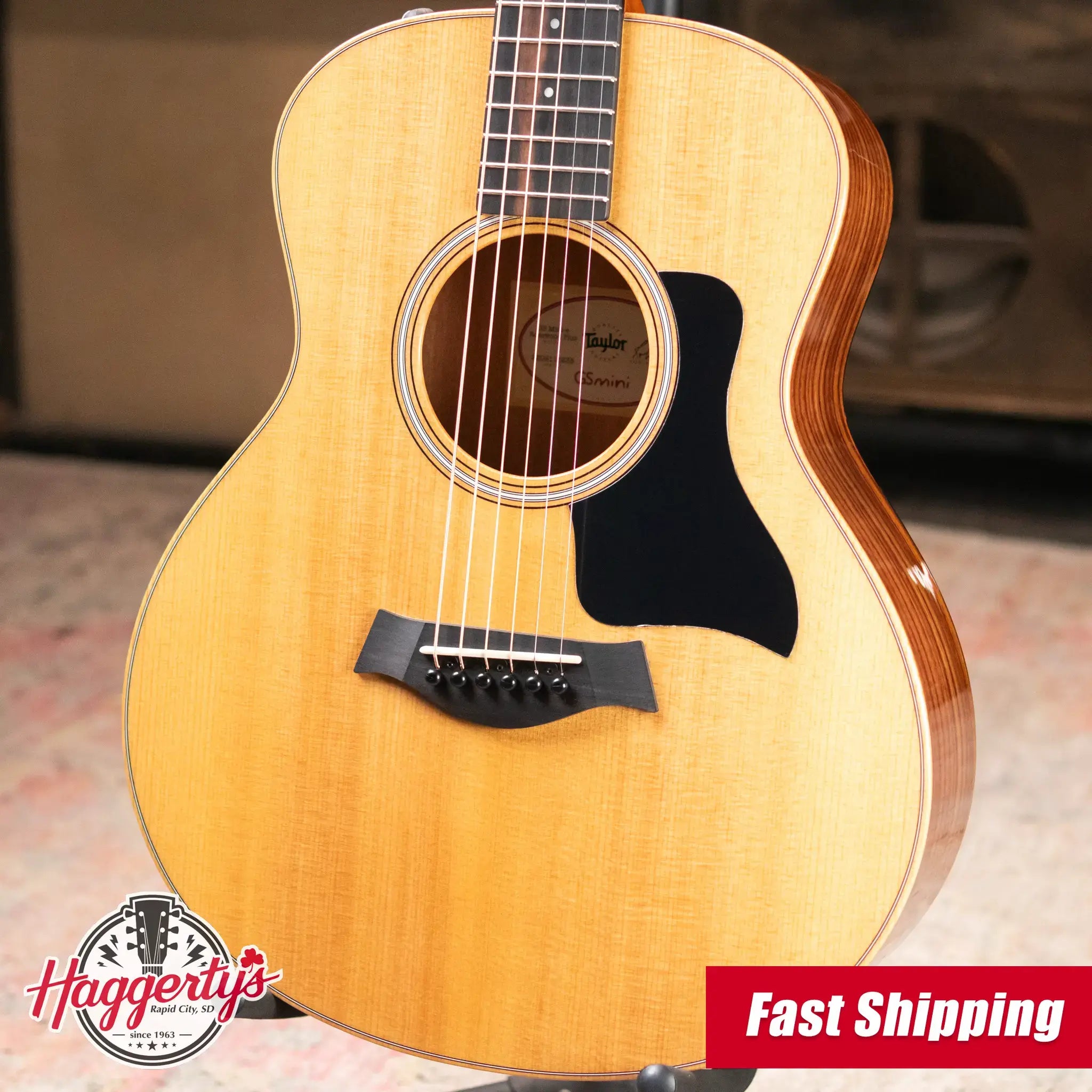 Taylor GS Mini-e Rosewood Plus Acoustic/Electric Guitar with Aerocase