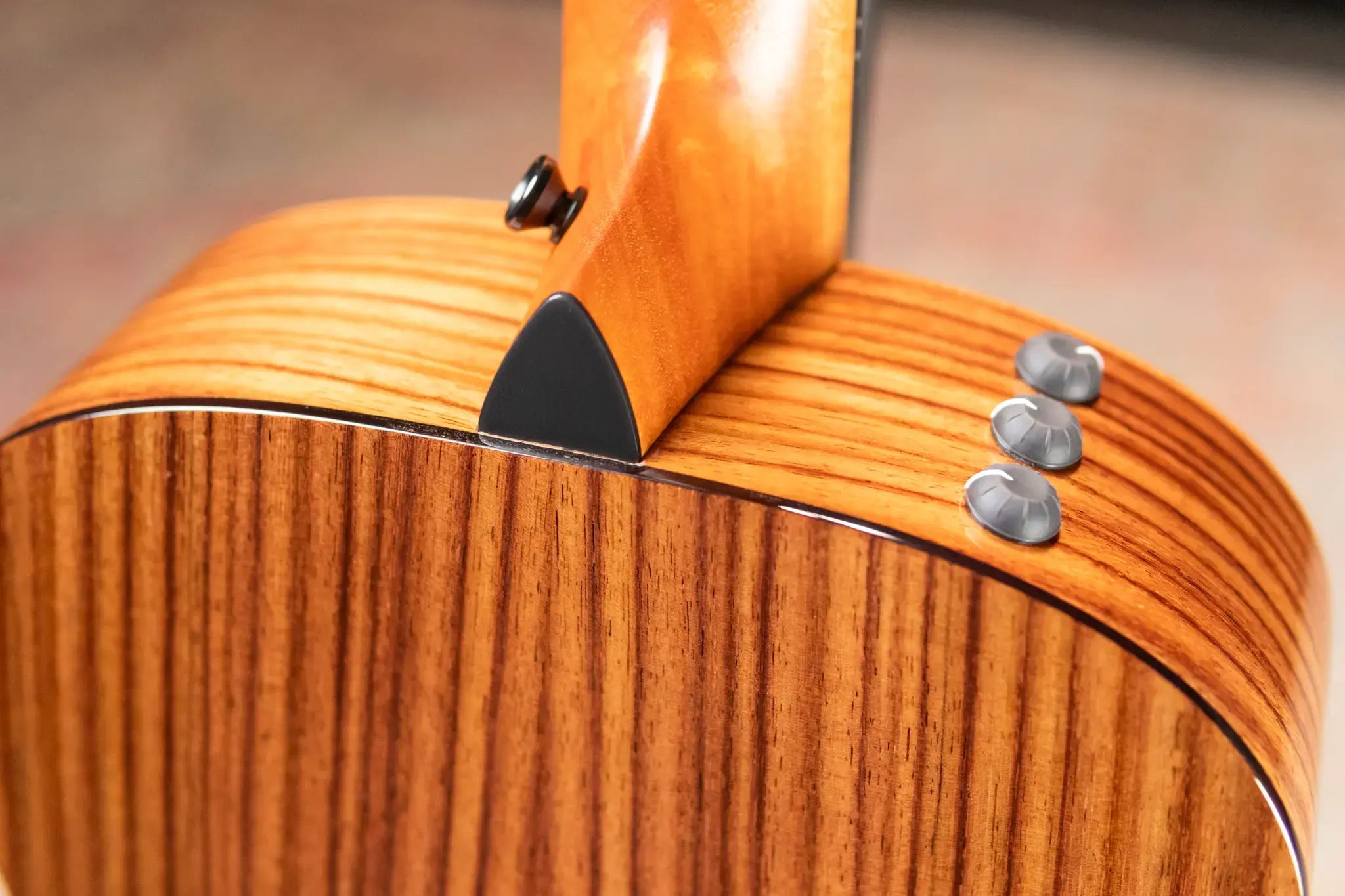 Taylor GS Mini-e Rosewood Plus Acoustic/Electric Guitar with Aerocase