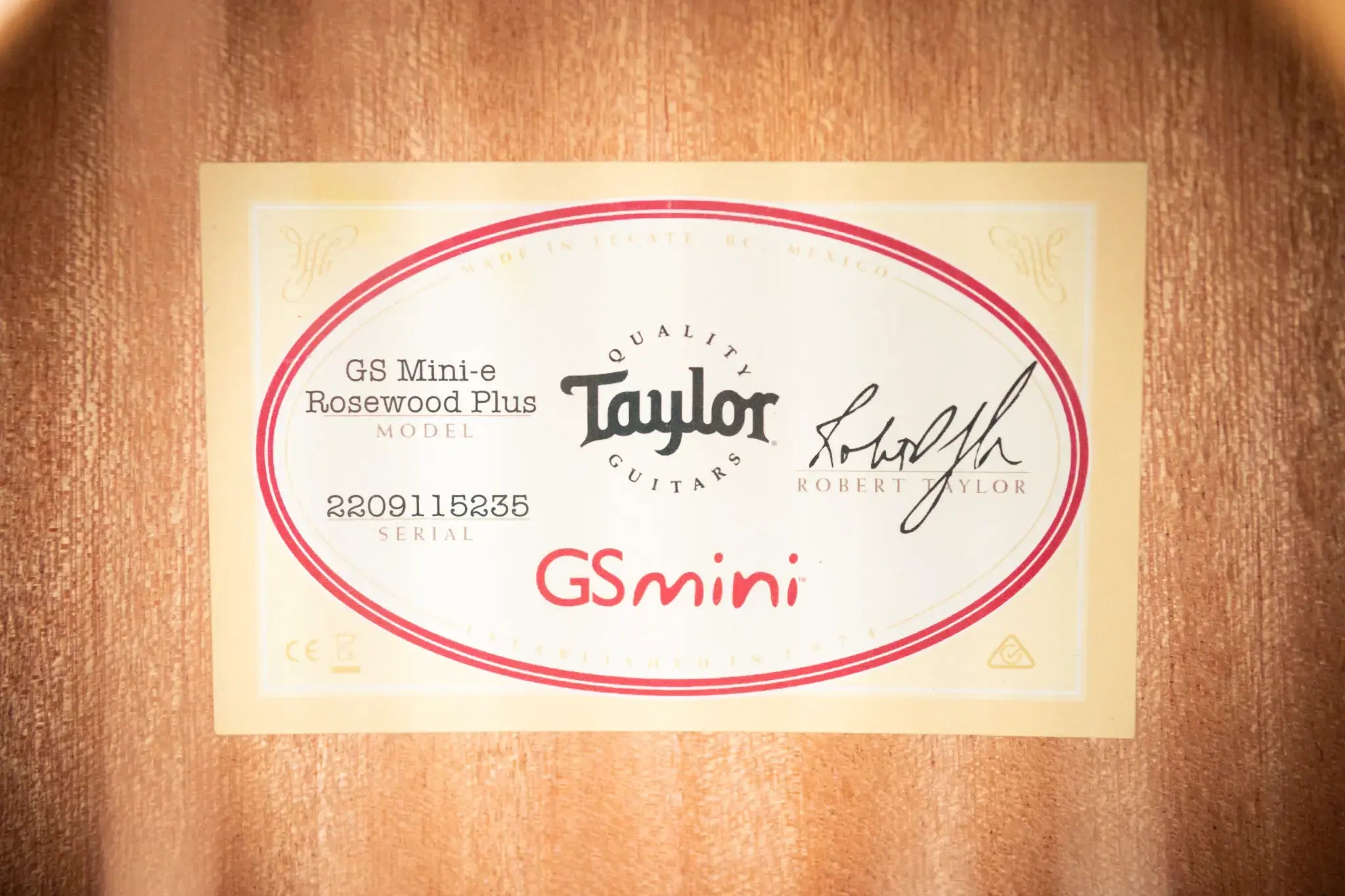 Taylor GS Mini-e Rosewood Plus Acoustic/Electric Guitar with Aerocase